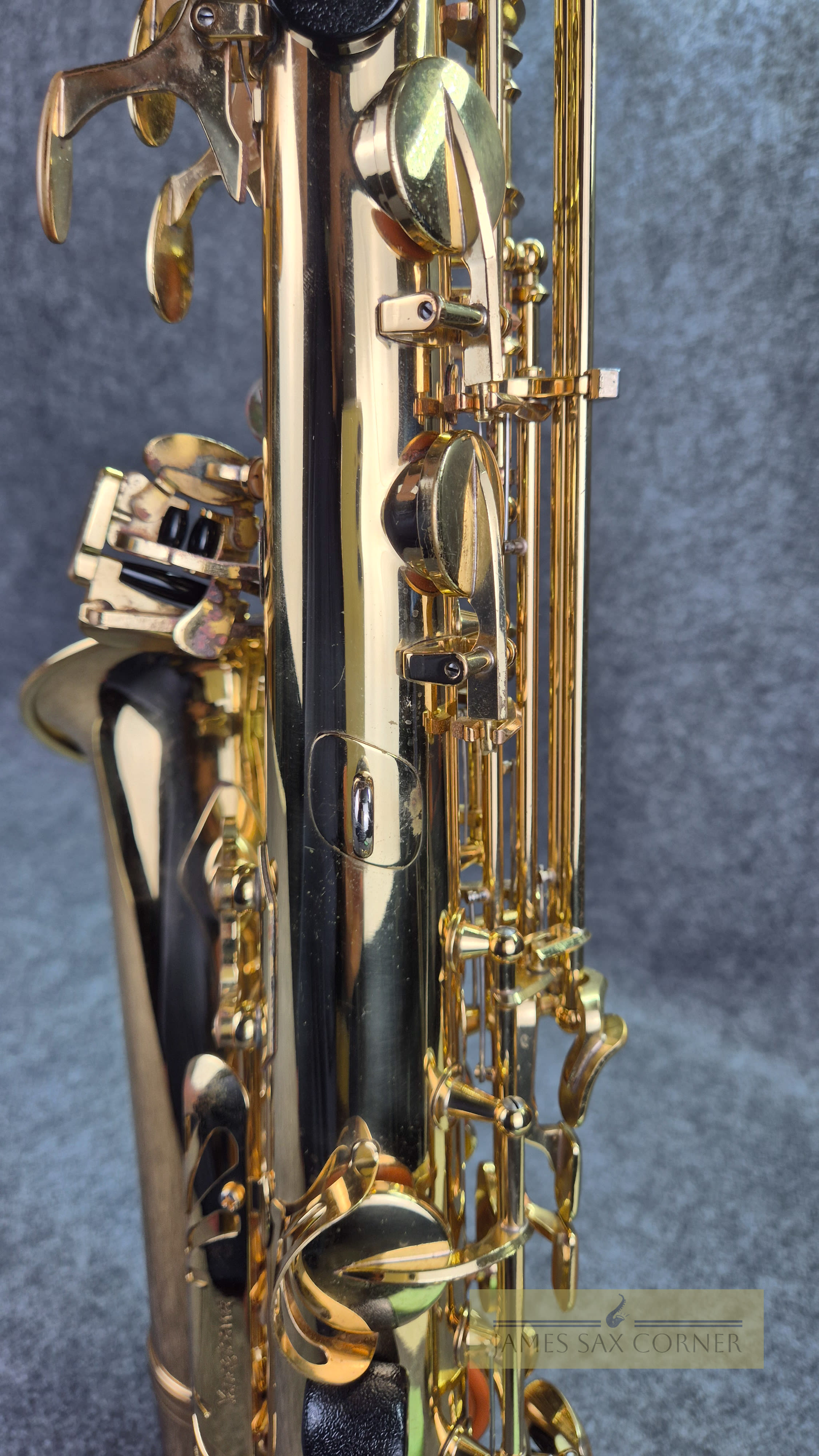 Yanagisawa A-901II Alto Saxophone SN 248XXX 12
