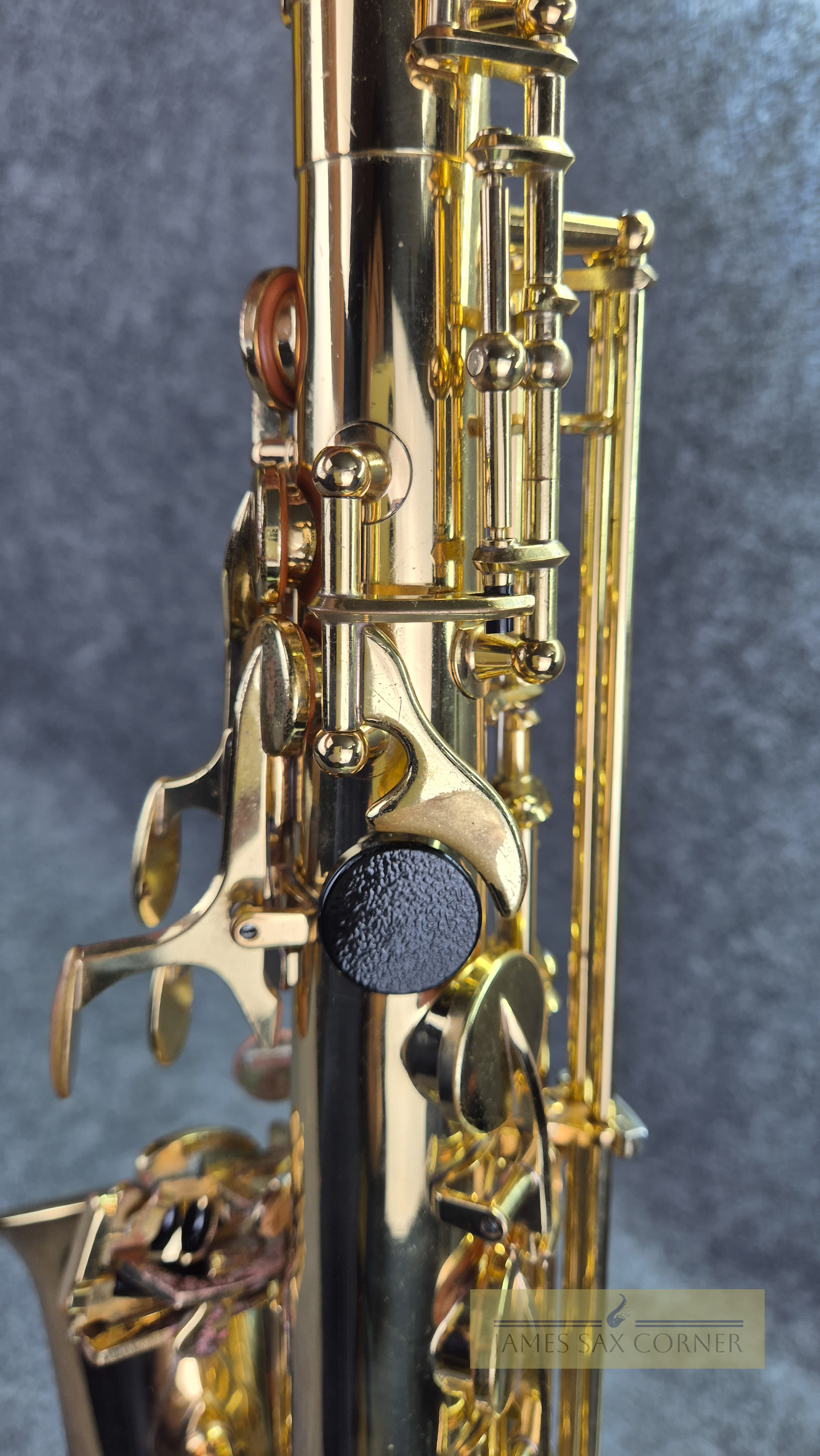 Yanagisawa A-901II Alto Saxophone SN 248XXX 13