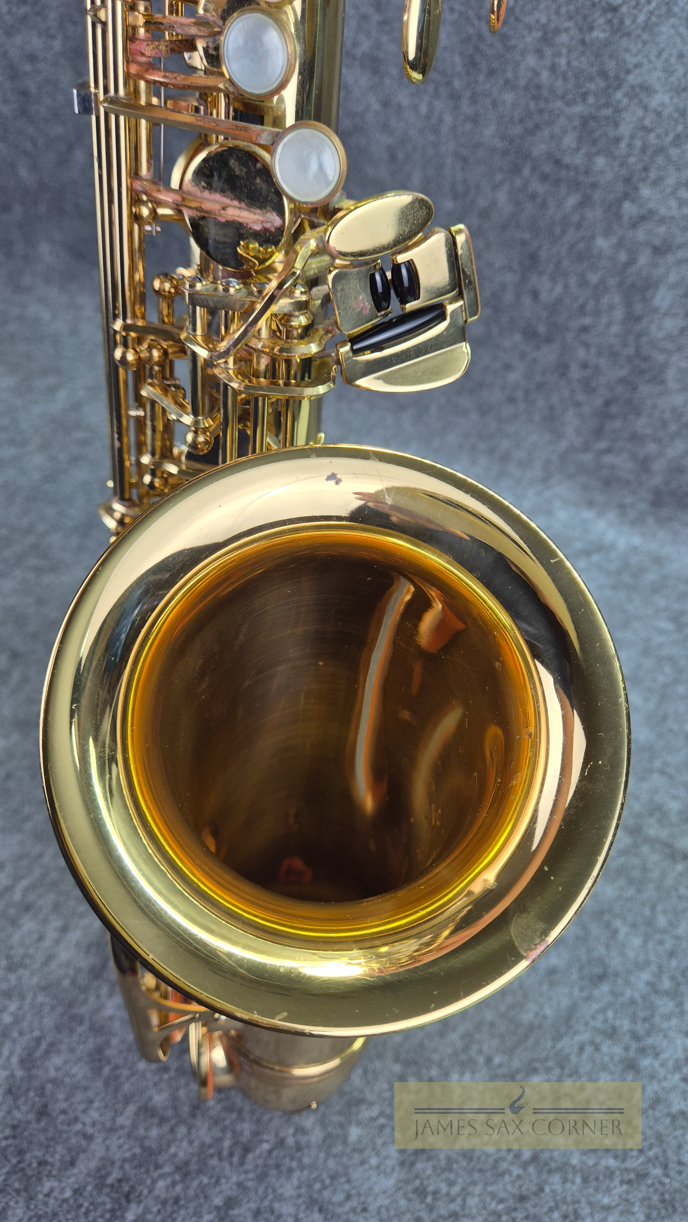 Yanagisawa A-901II Alto Saxophone SN 248XXX 15