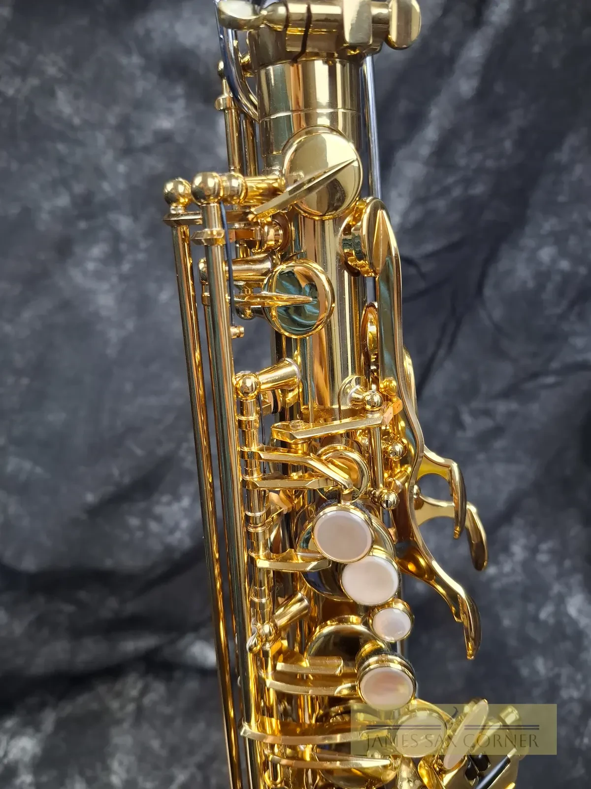 Selmer Reference 54 Hummingbird Charlie Parker Edition Alto