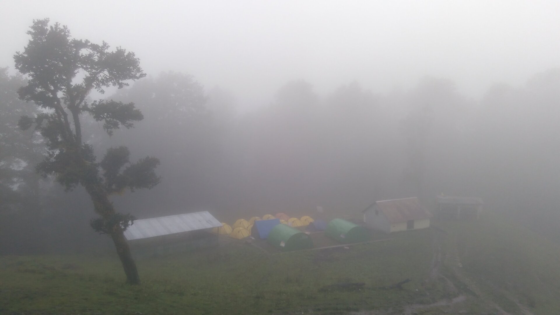 Ali Bedni Bugyal image 12