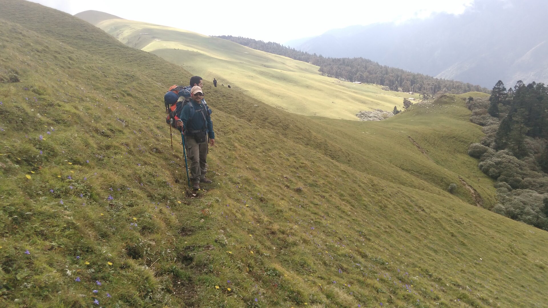 Ali Bedni Bugyal image 8