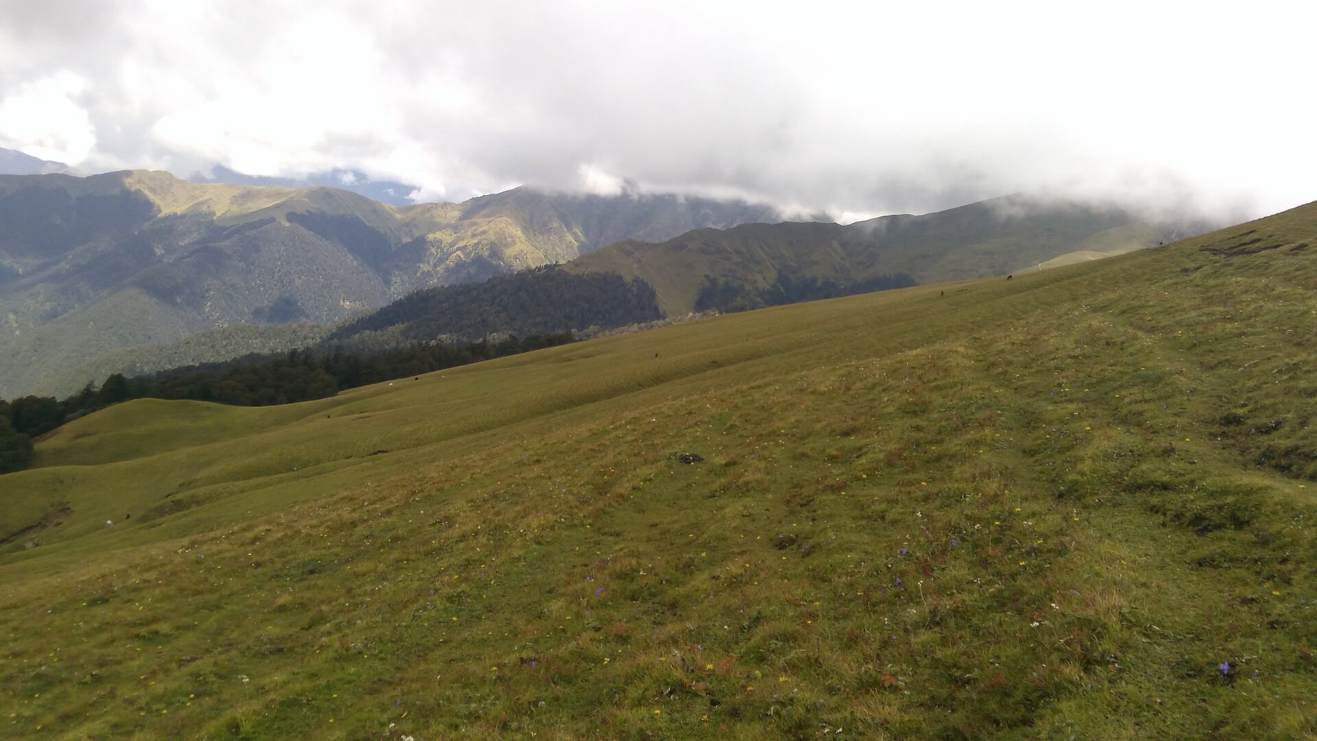 Ali Bedni Bugyal image 3