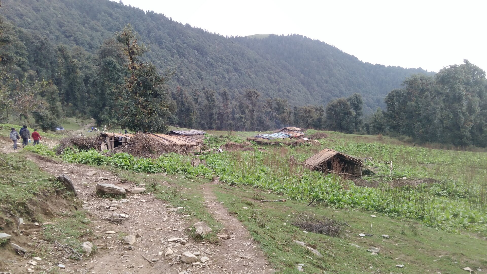 Ali Bedni Bugyal image 1