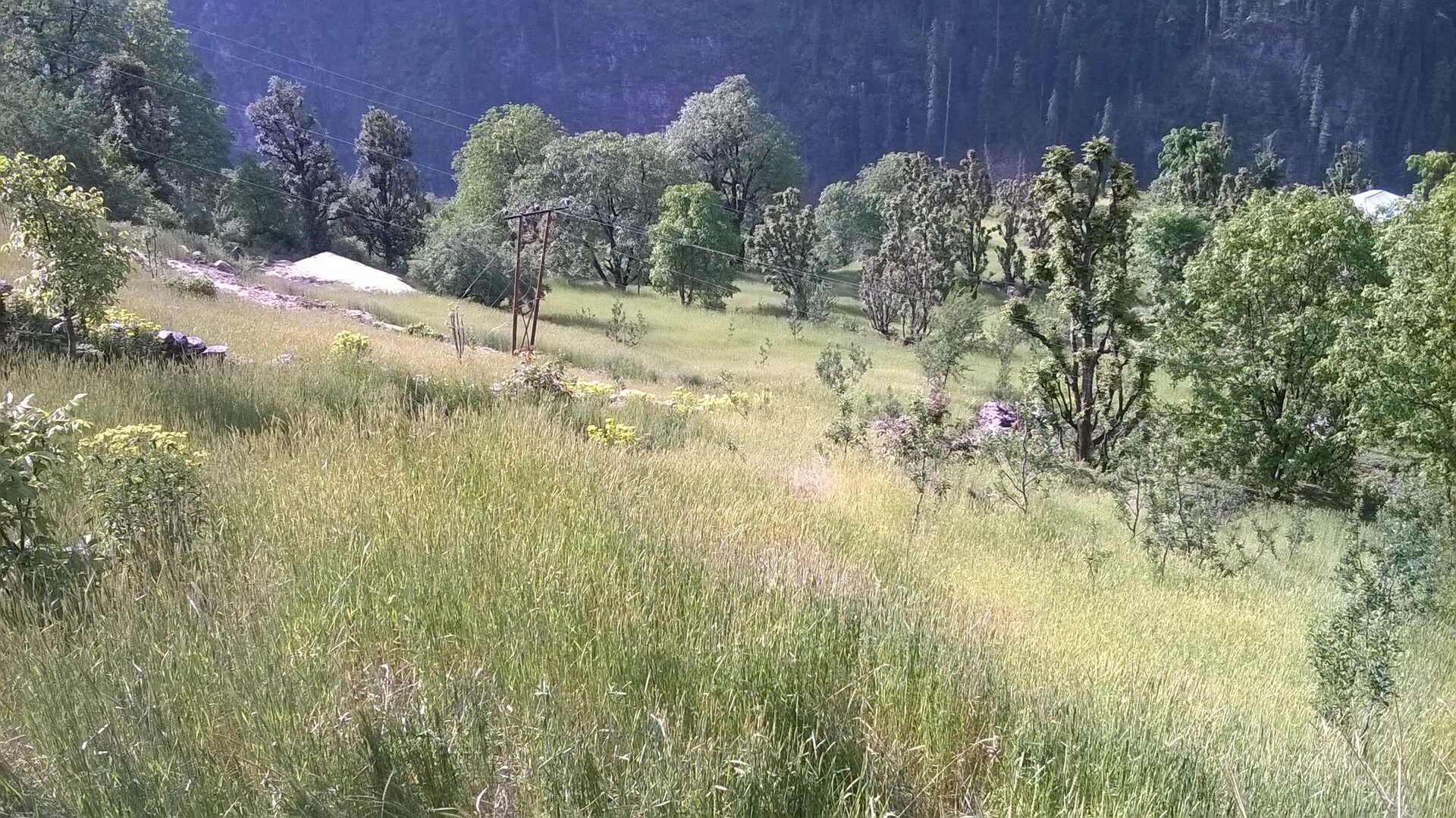 Buran Ghati image 6