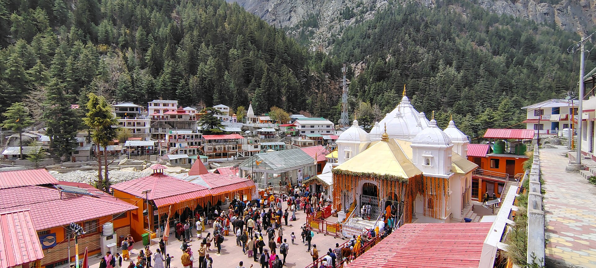 Gaumukh Tapovan image 12