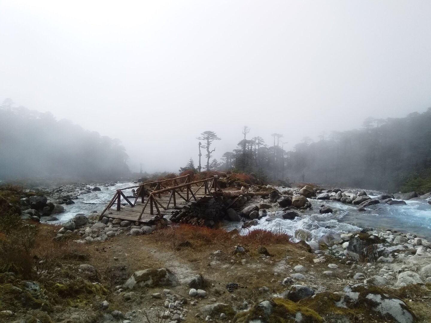 Goechala image 14