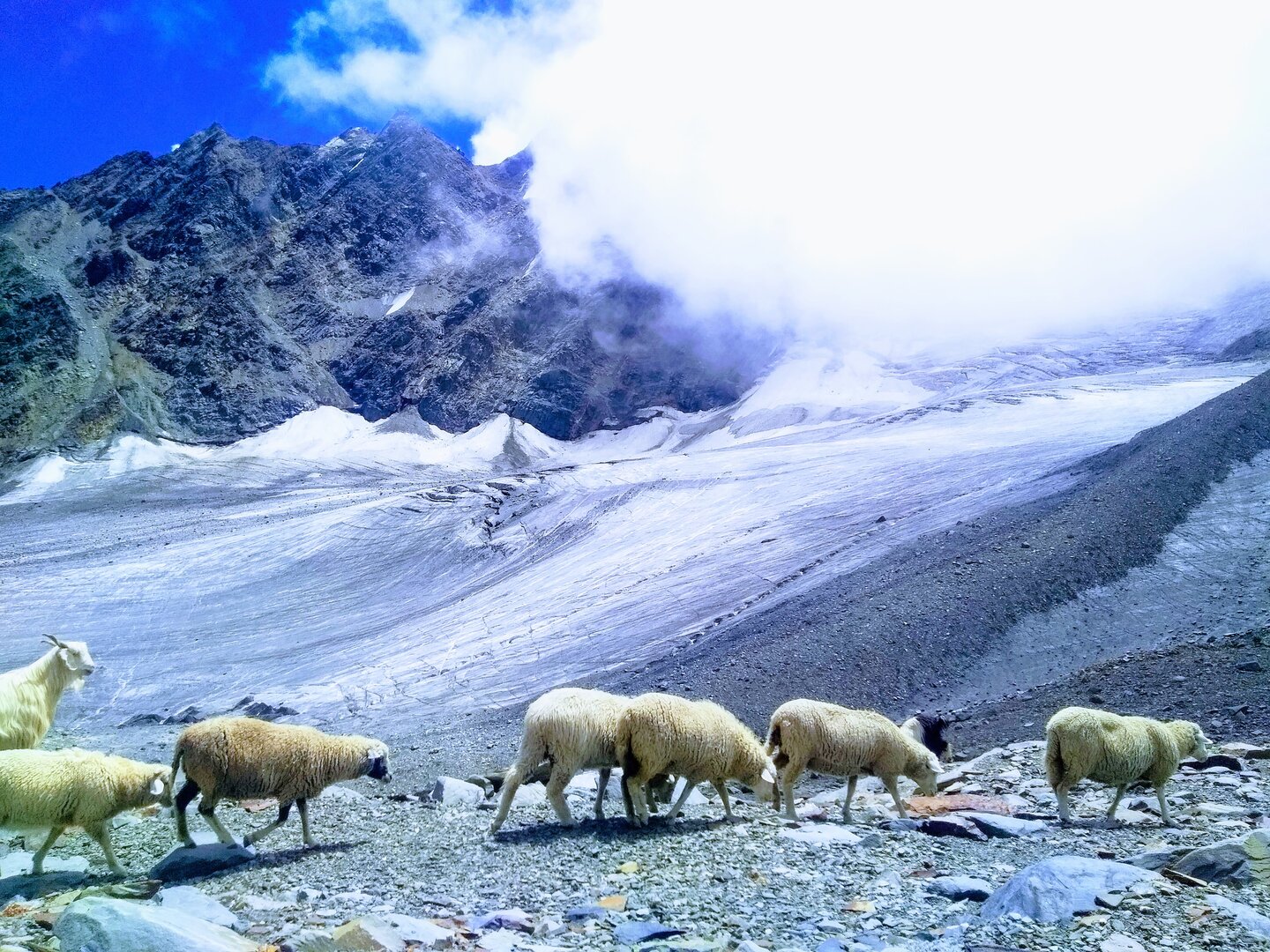 Pin Bhaba Pass image 3