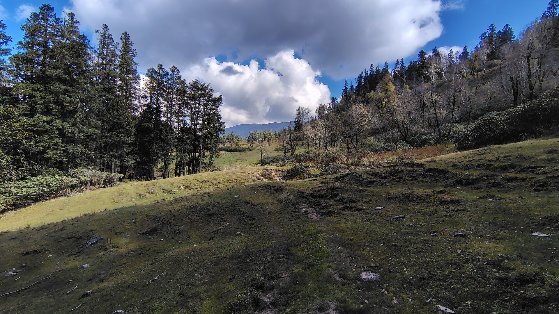 Phulara Ridge image 5