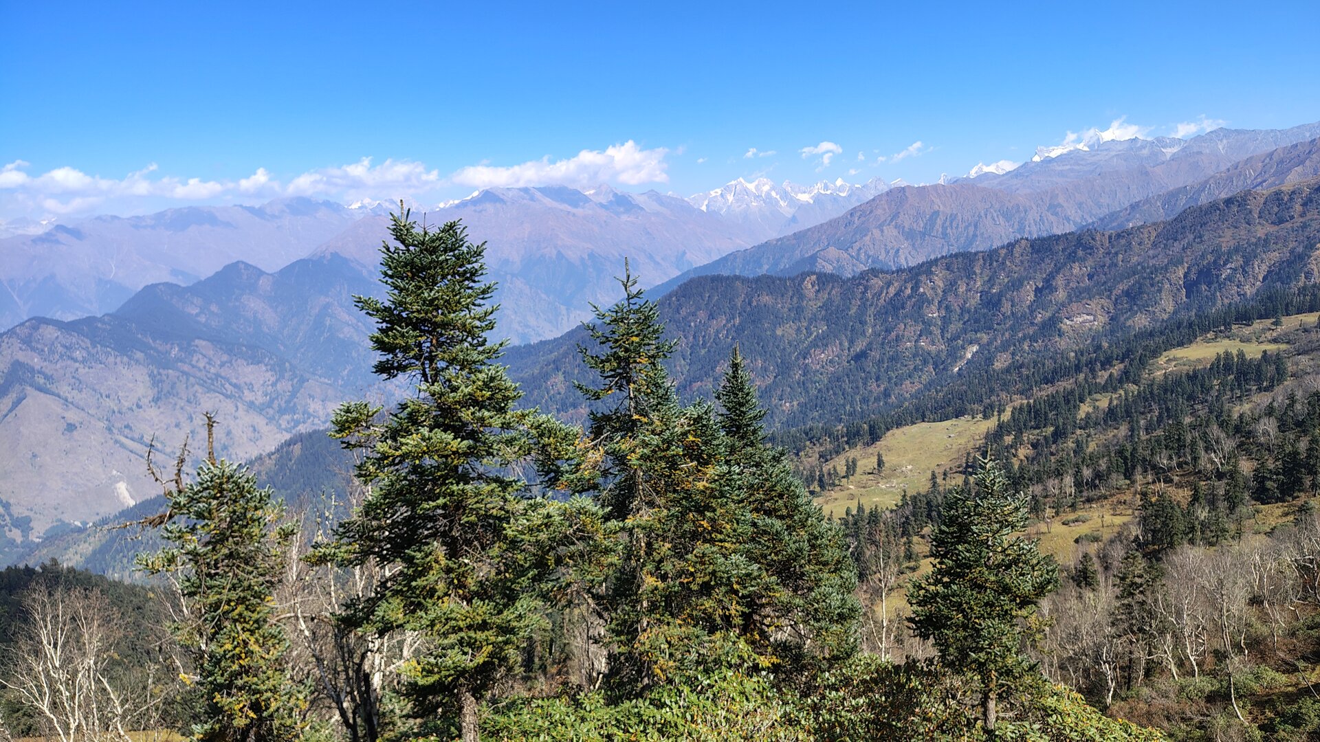 Phulara Ridge image 4
