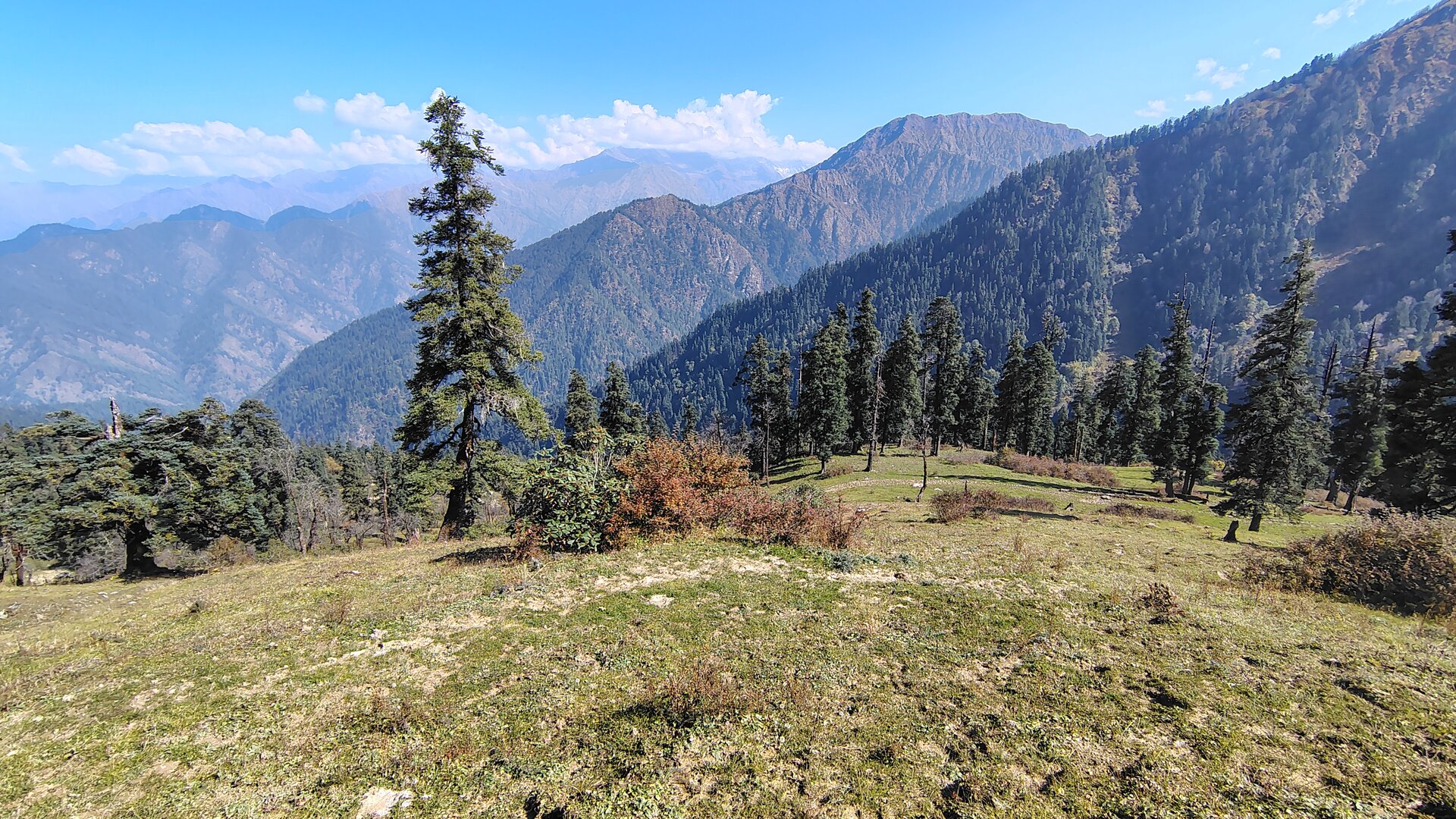 Phulara Ridge image 1