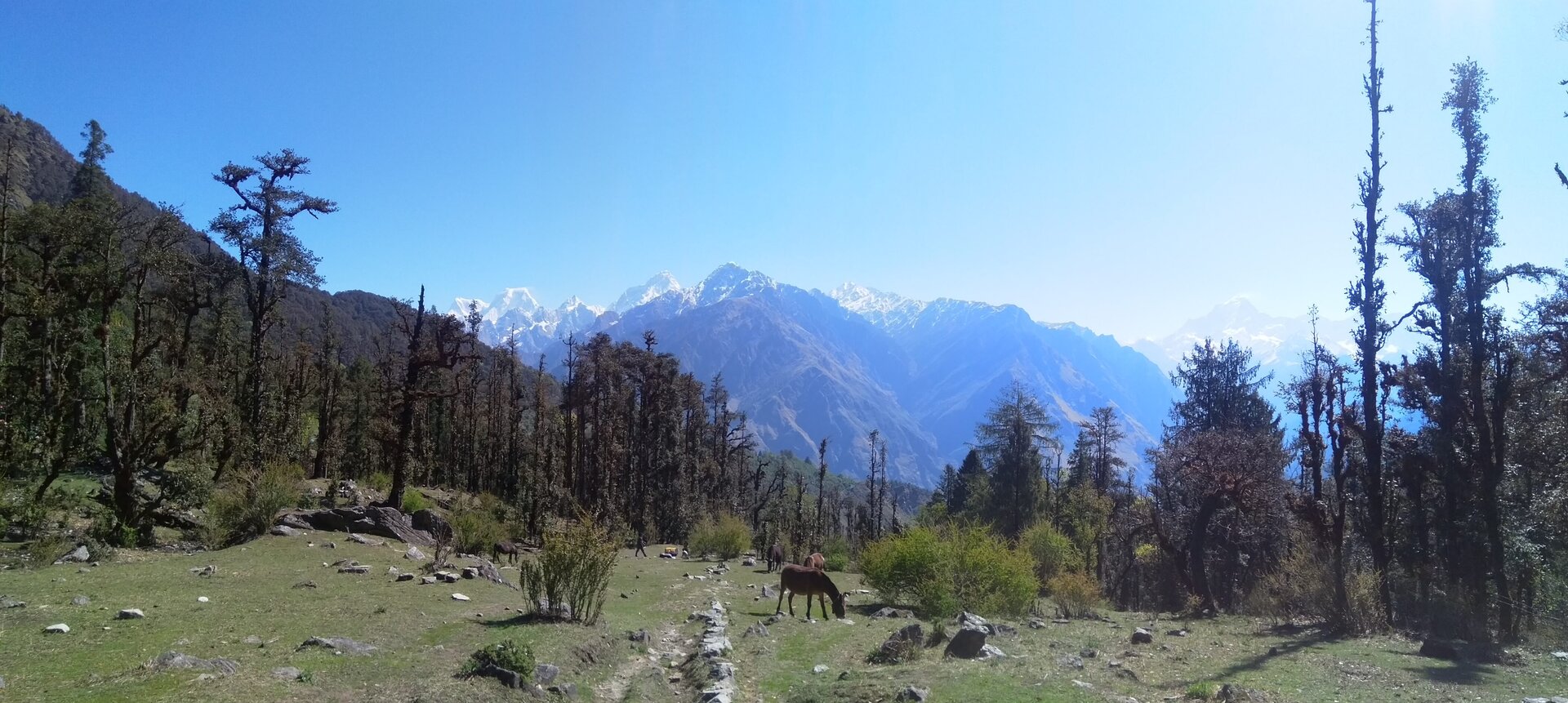 Kuari Pass image 15
