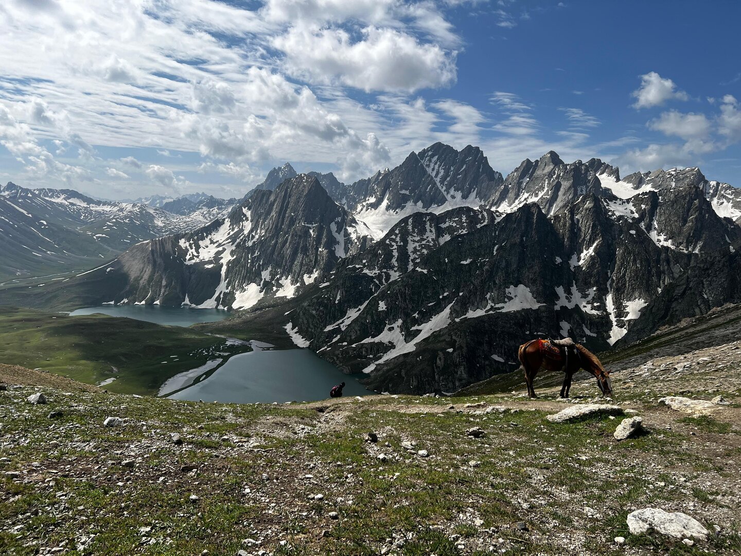 Kashmir Great Lakes Trek image 14