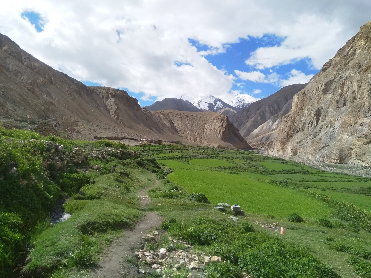 Markha Valley Trek image 8