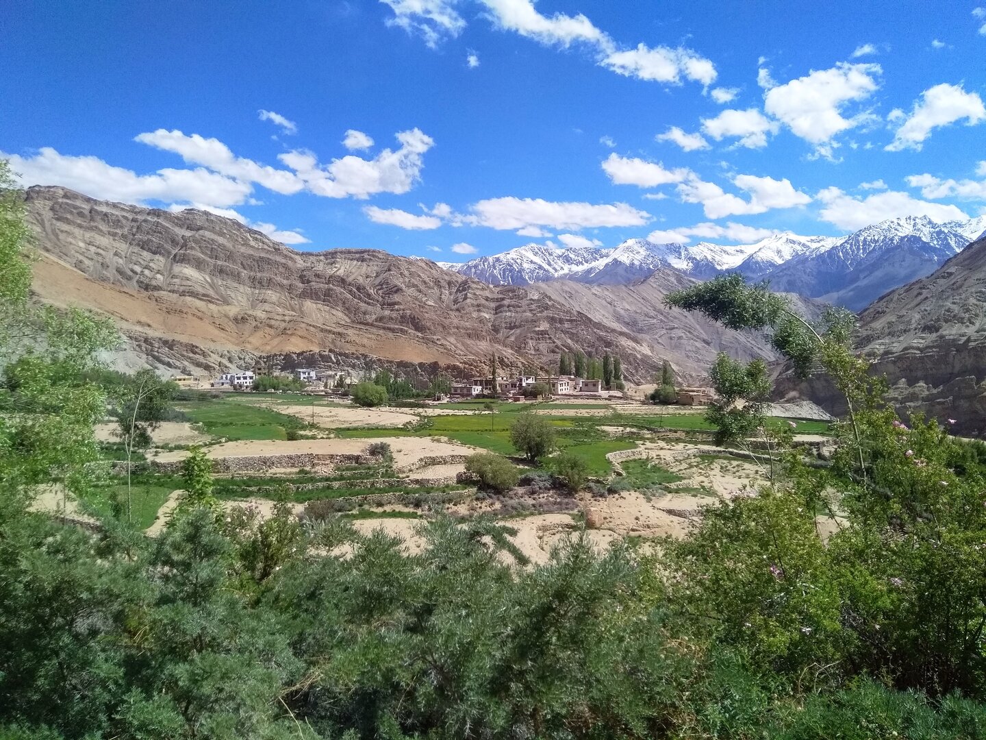 Markha Valley Trek image 6