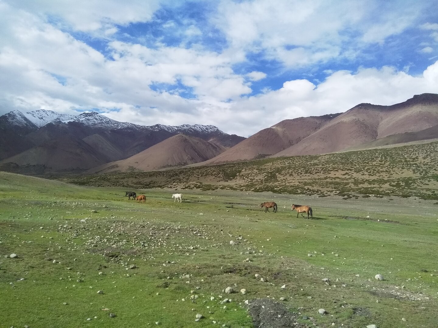 Markha Valley Trek image 3