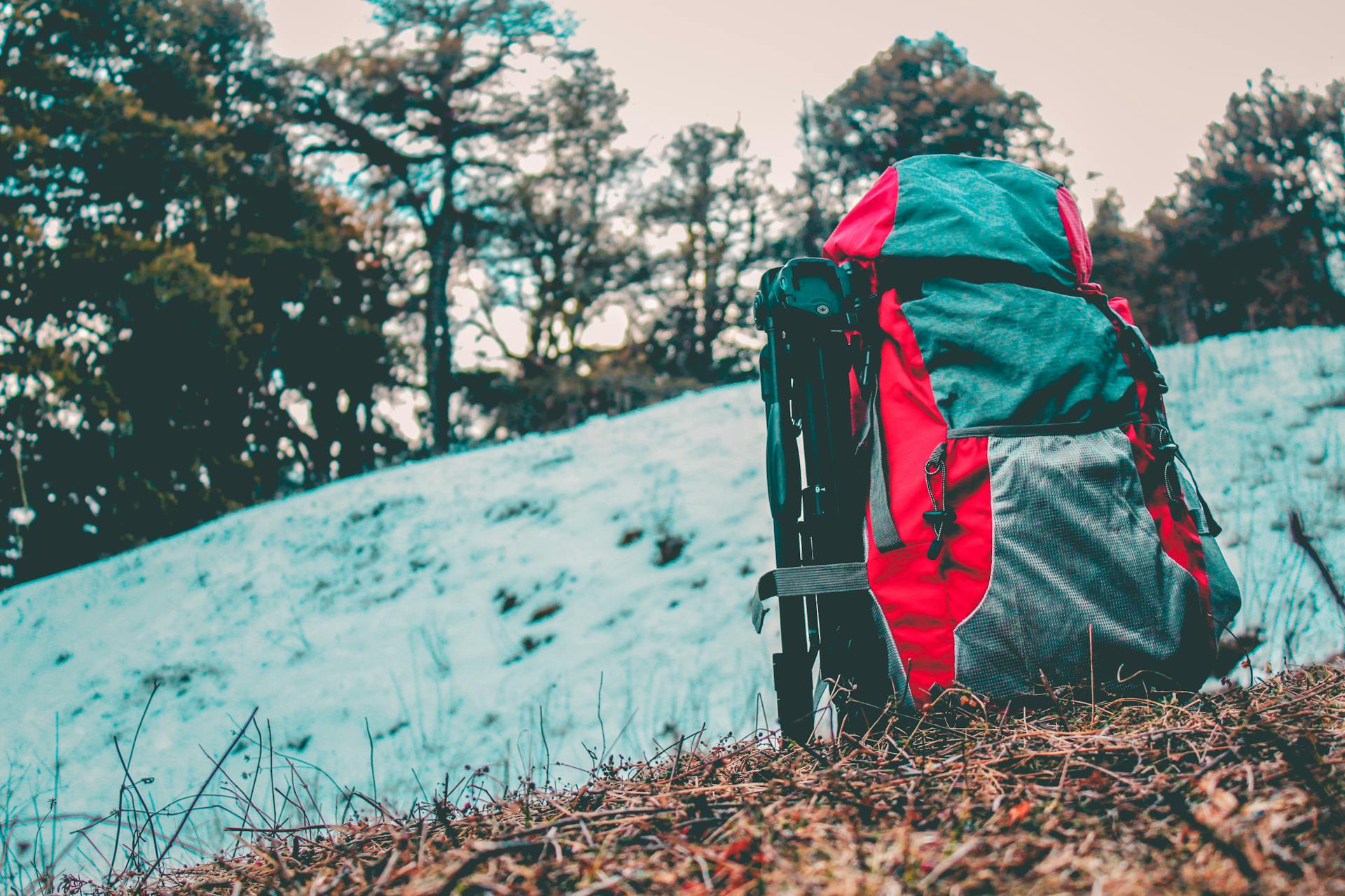 Ideal Trekking Backpack for Himalayan Treks | Capacity, Fit & Top Brands Guide
