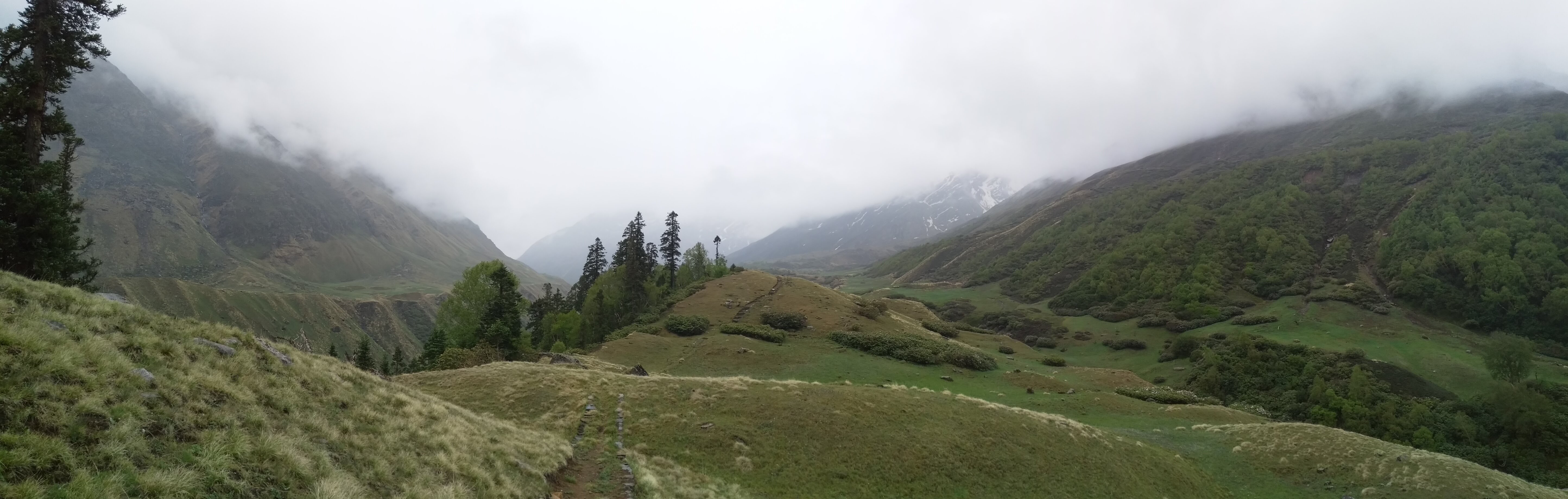 Bali Pass Trek image 28