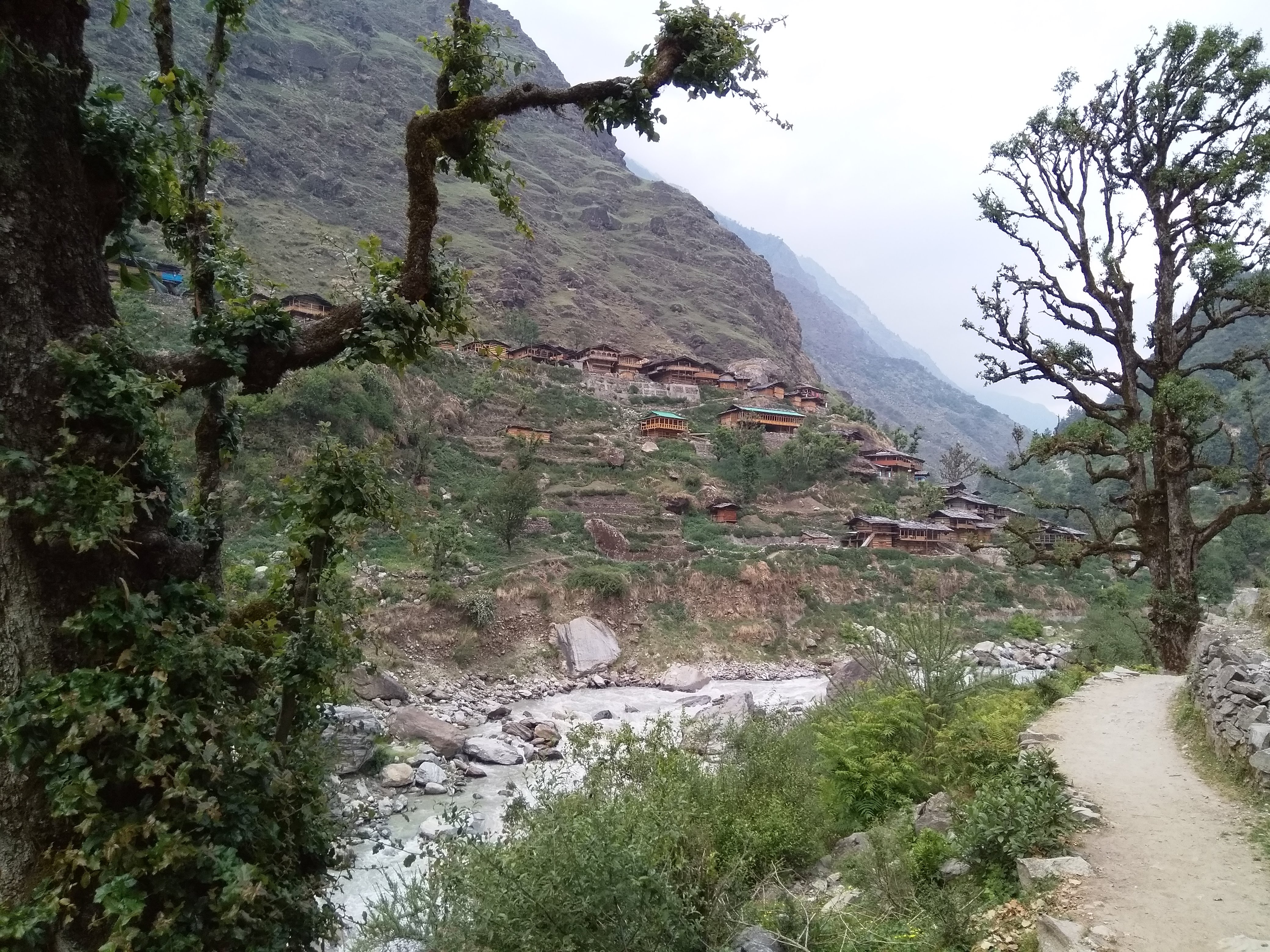 Bali Pass Trek image 7