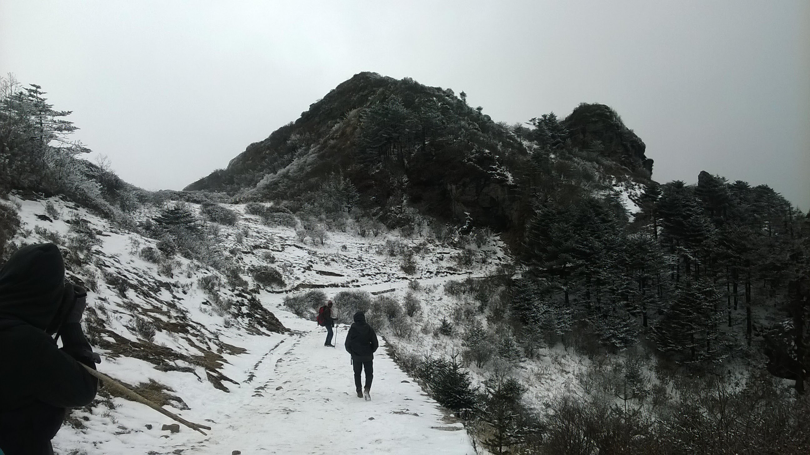 Sandakphu Trek image 21