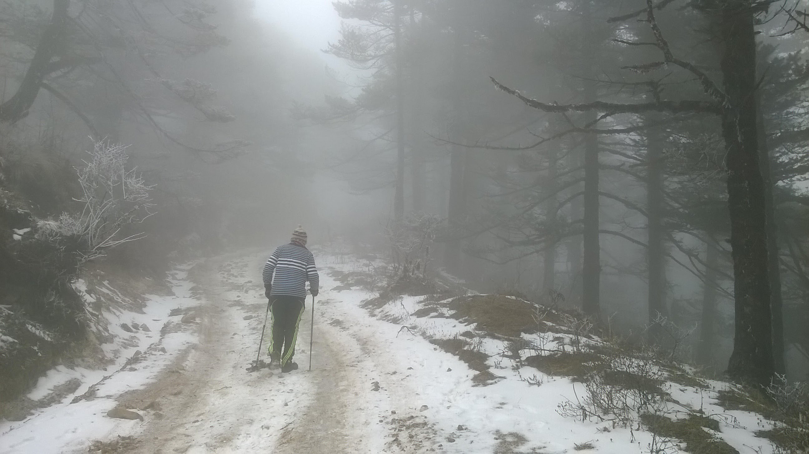 Sandakphu Trek image 20