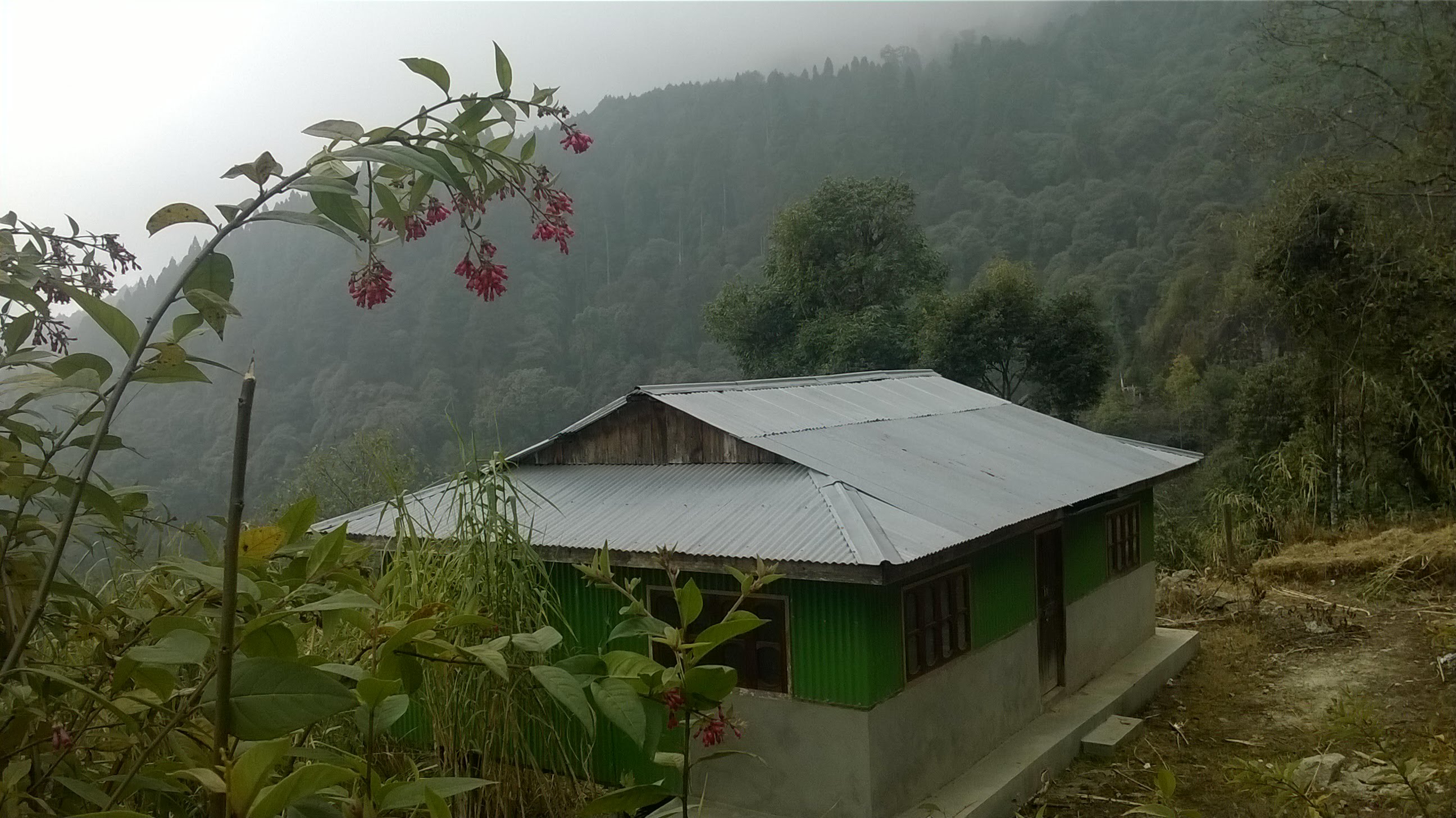 Sandakphu Trek image 17