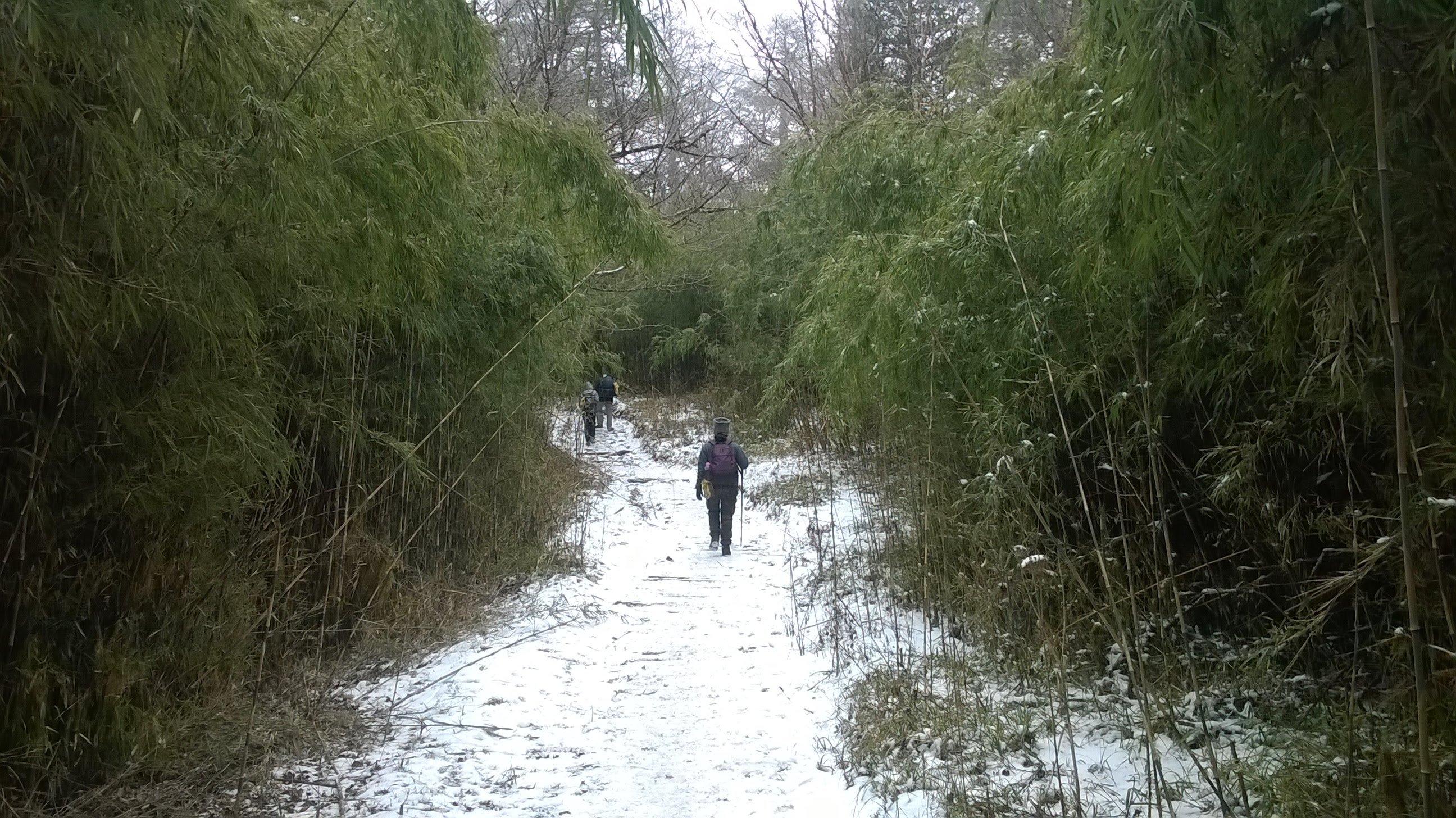 Sandakphu Trek image 15