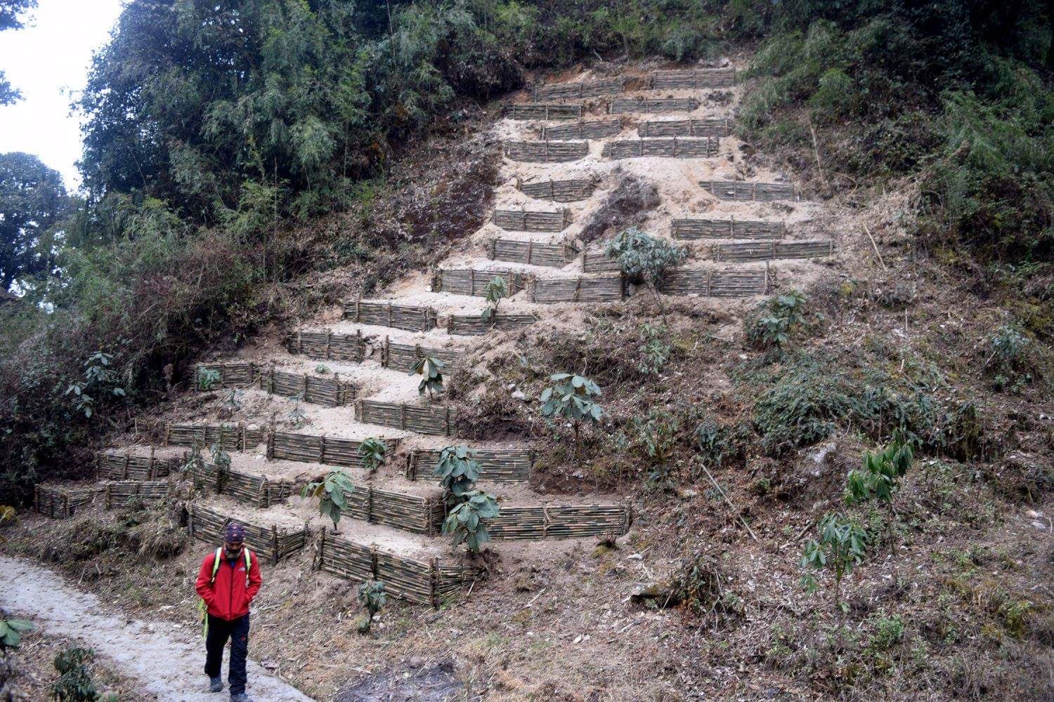 Sandakphu Trek image 7
