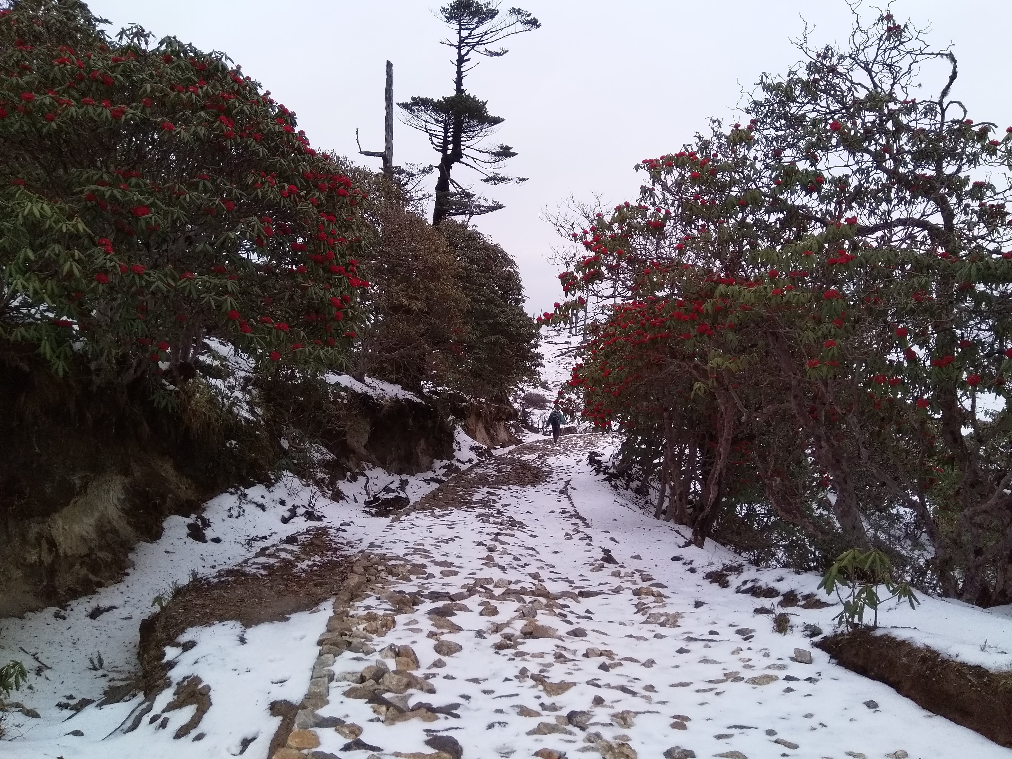Sandakphu Trek slide 3