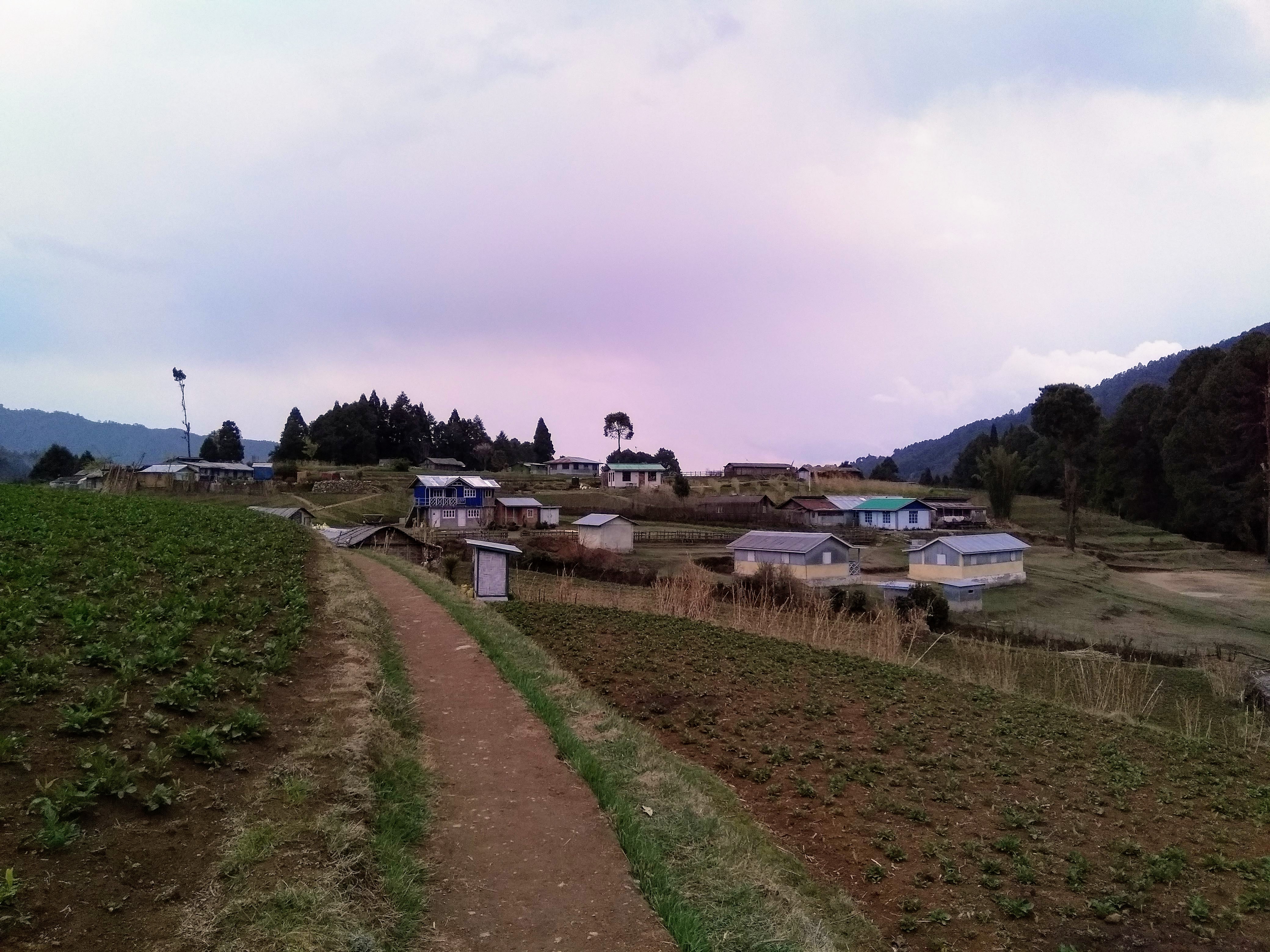 Sandakphu Trek image 2