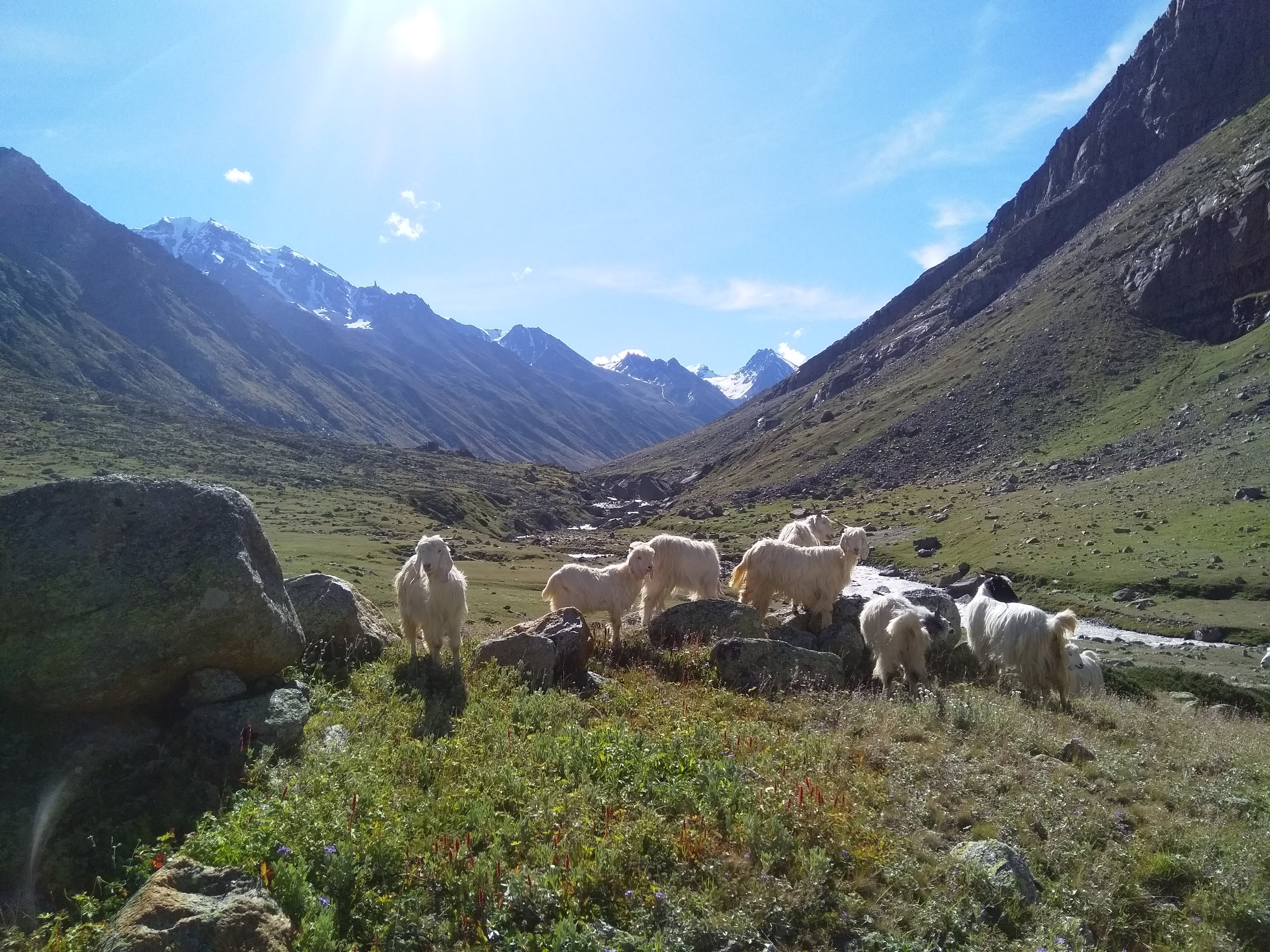 Pin Parvati Pass Trek image 35