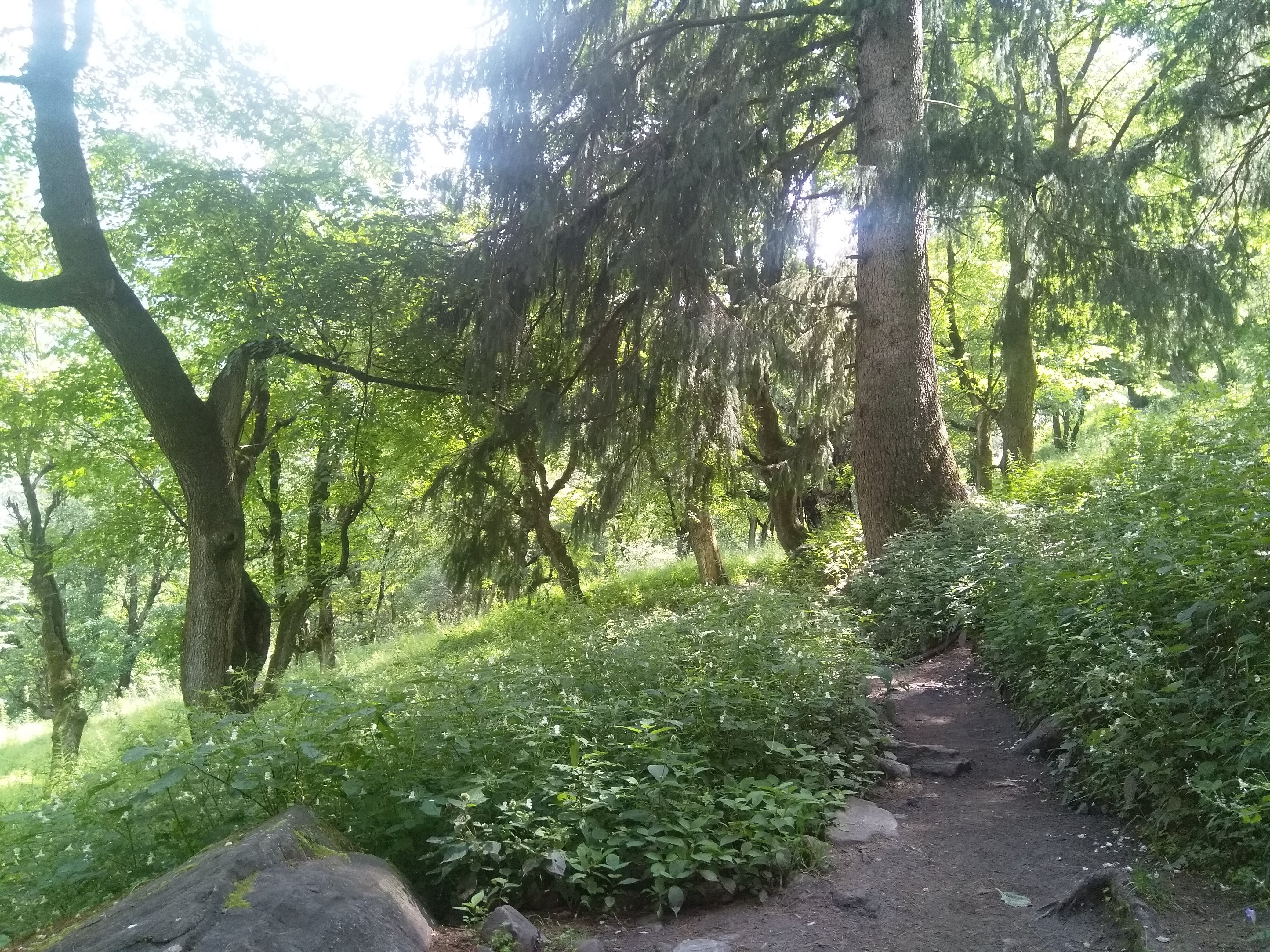 Pin Parvati Pass Trek image 4