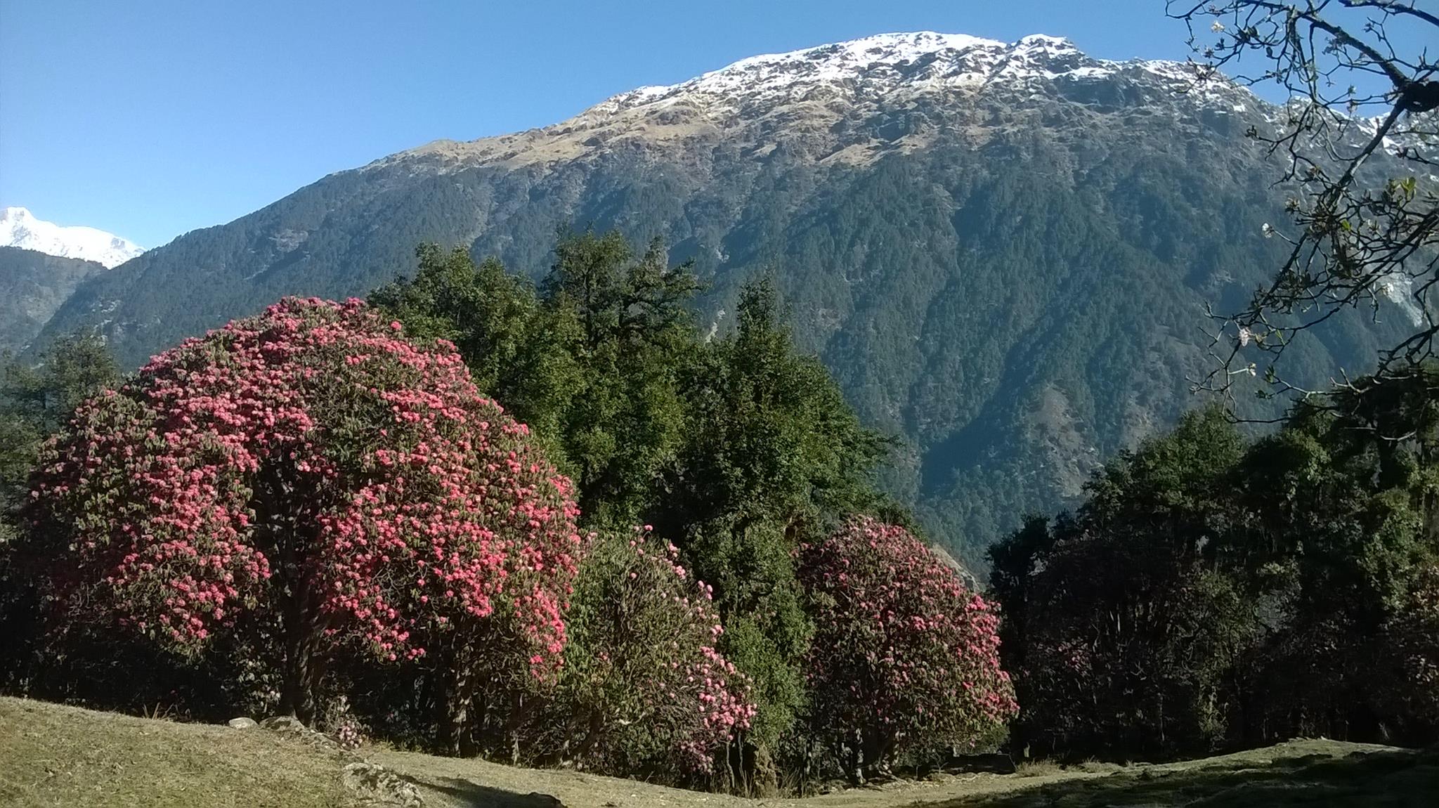 Deoriatal Chandrashila Trek image 13