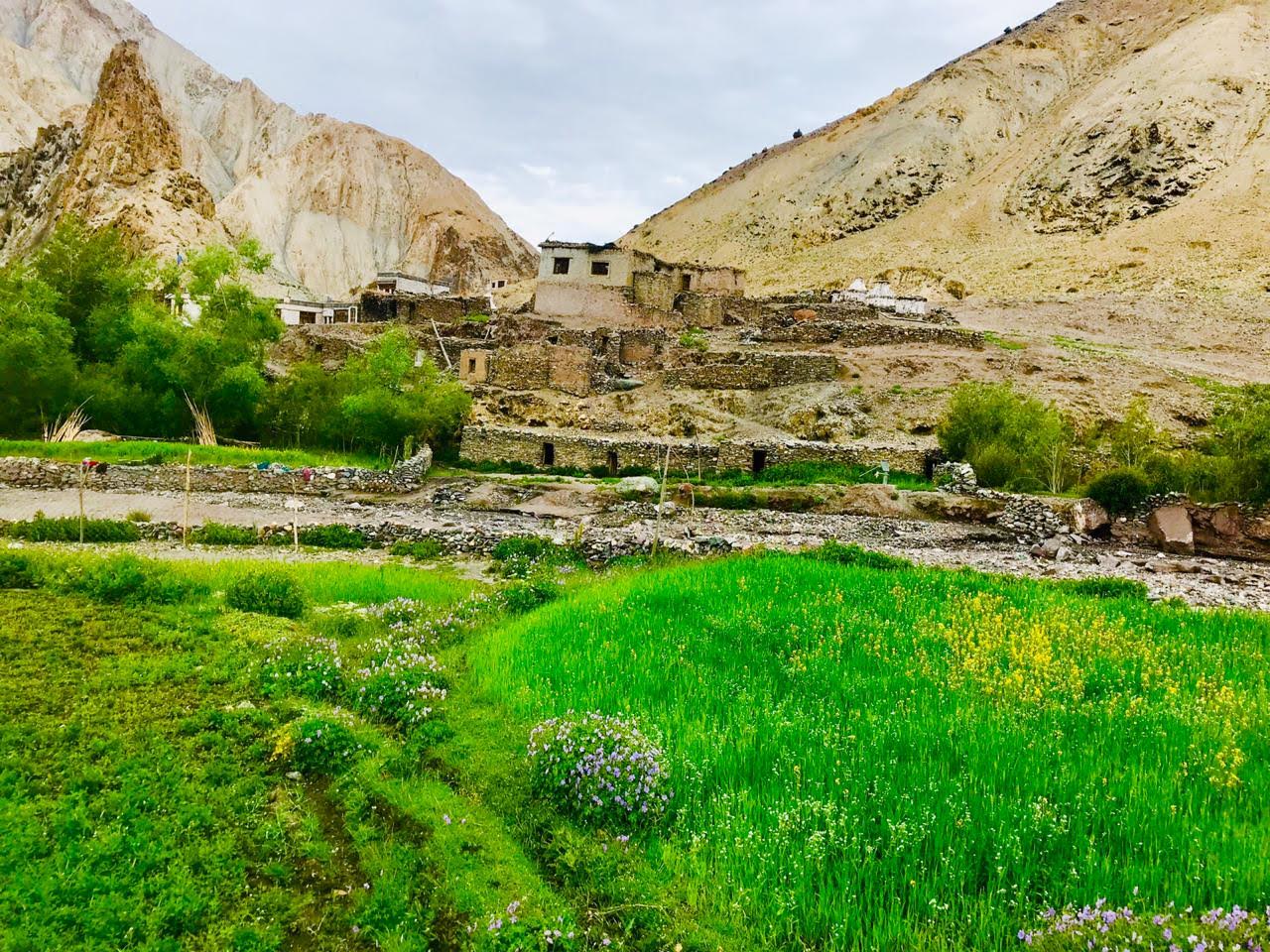 Winter Markha Valley Trek image 6