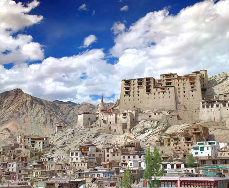 Winter Markha Valley Trek image 3