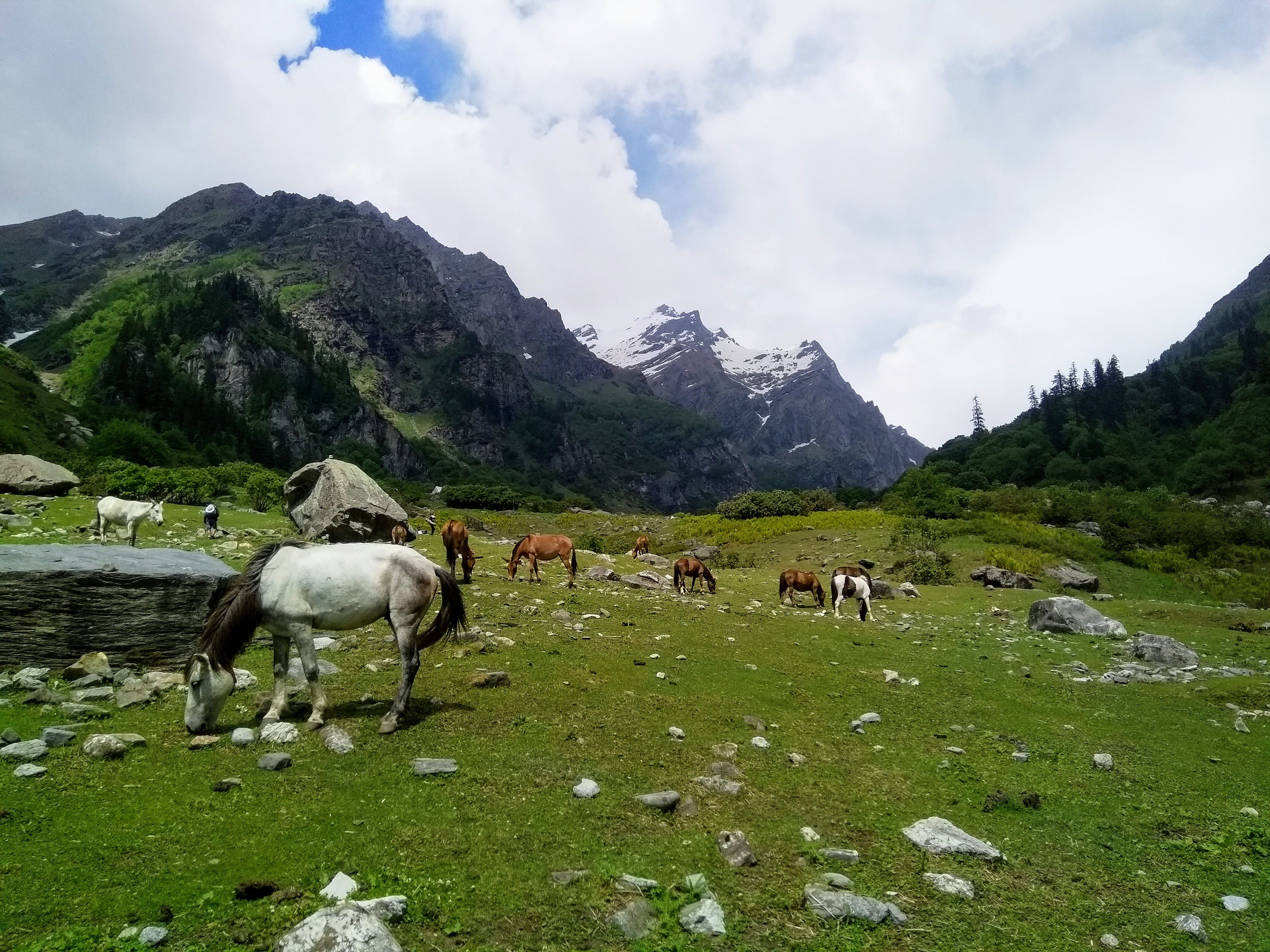 Deo Tibba Base Camp Trek image 5