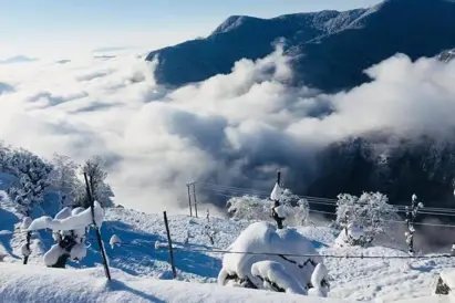 Dhakuri Pass Trek image 6