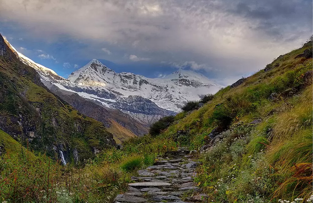 Pindari Glacier Trek image 4