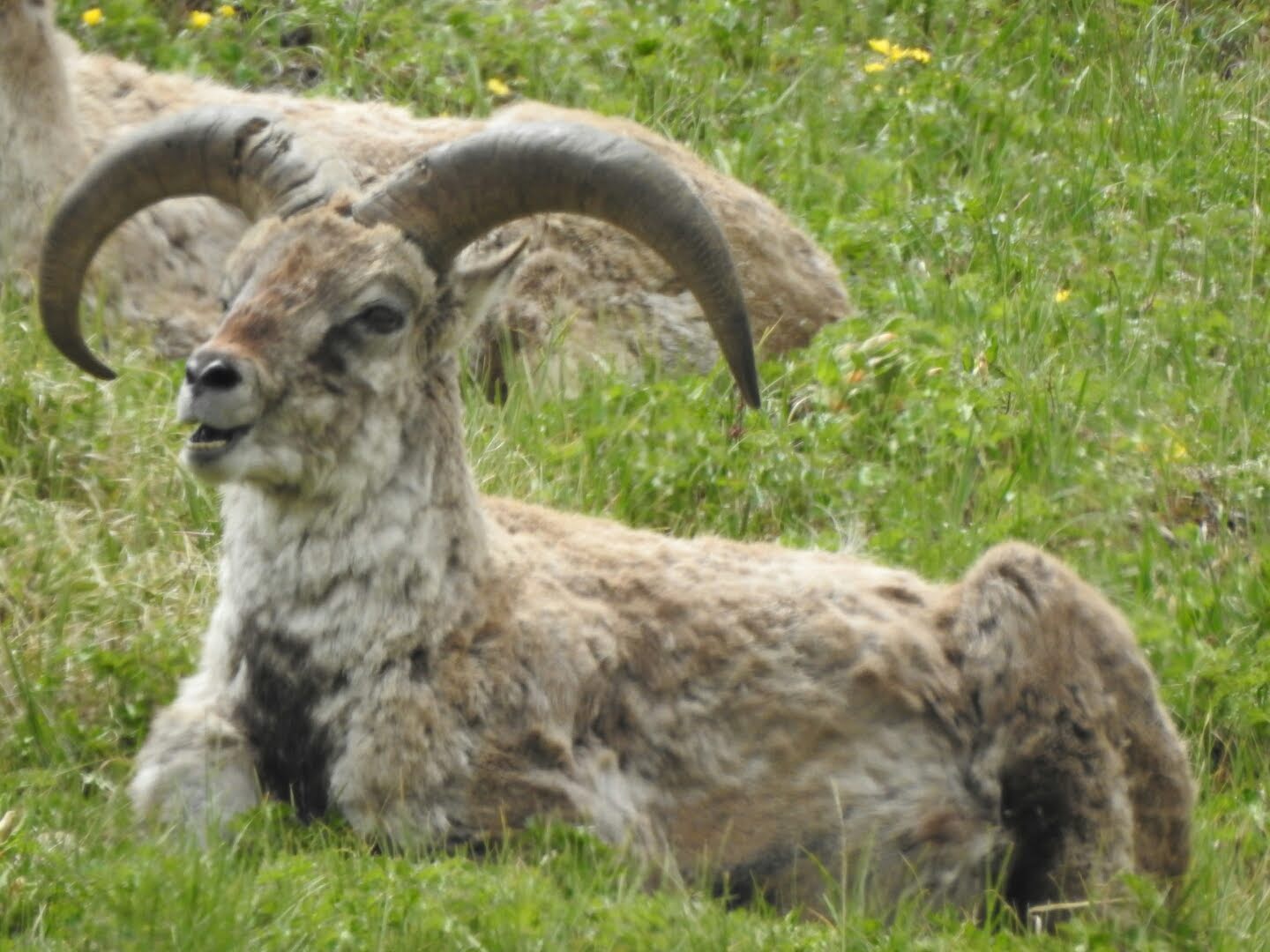 Kedartal Trek image 13
