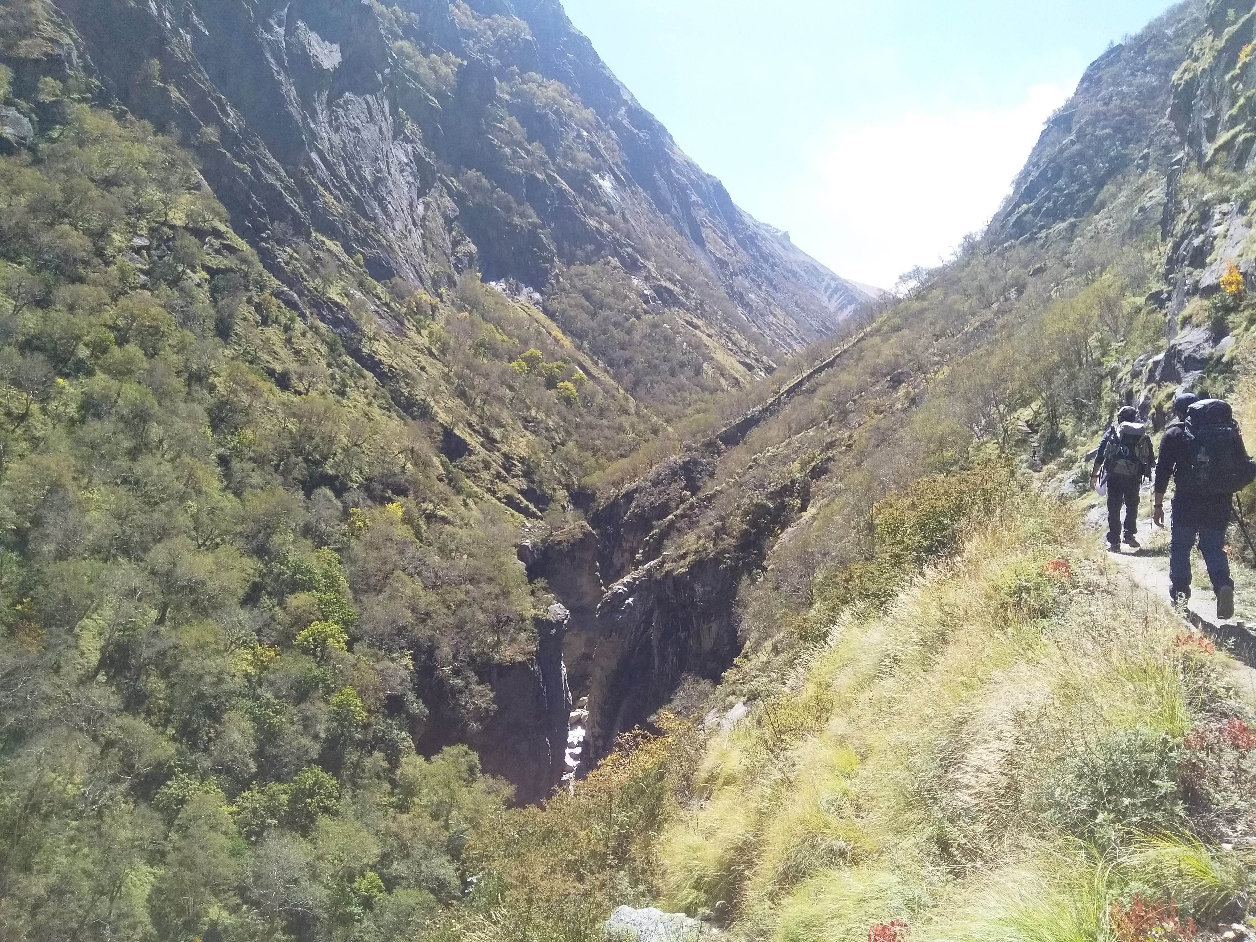 Kedartal Trek image 7