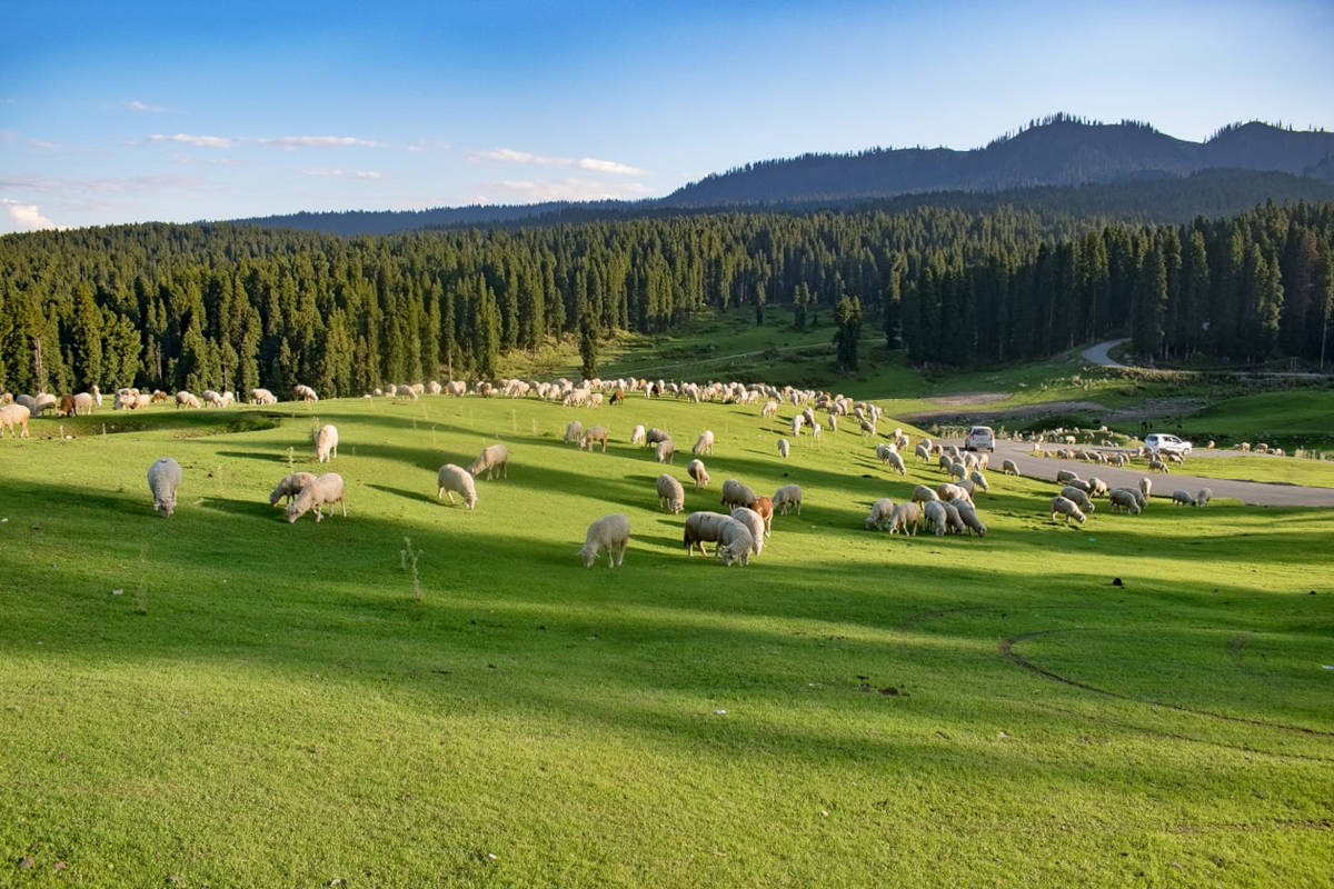 Doodhpathri Trek slide 3