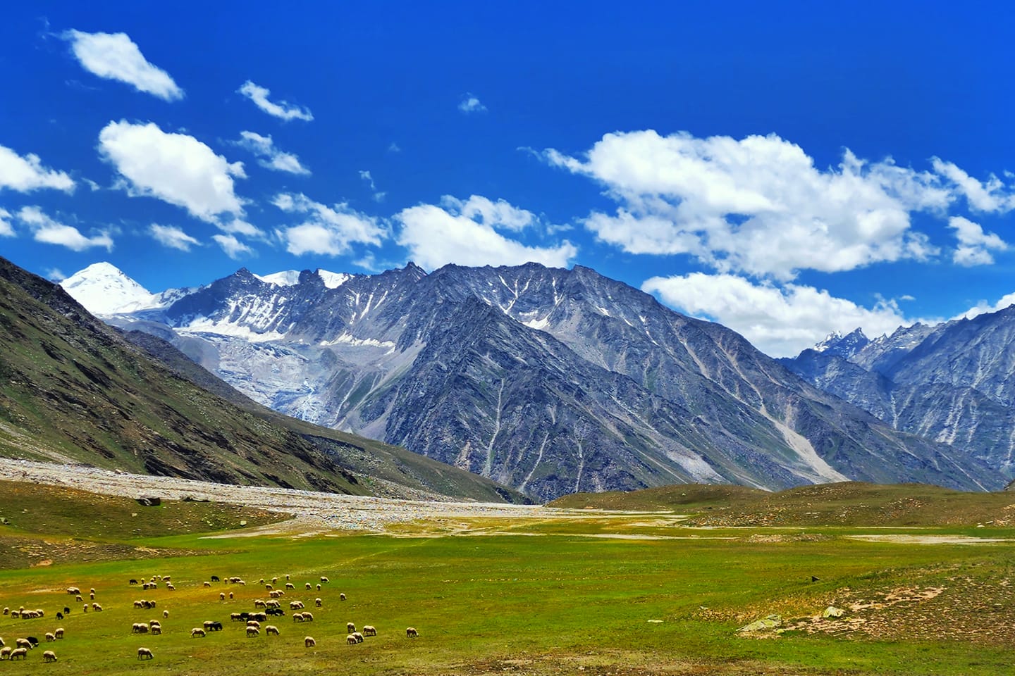 Miyar Valley Trek