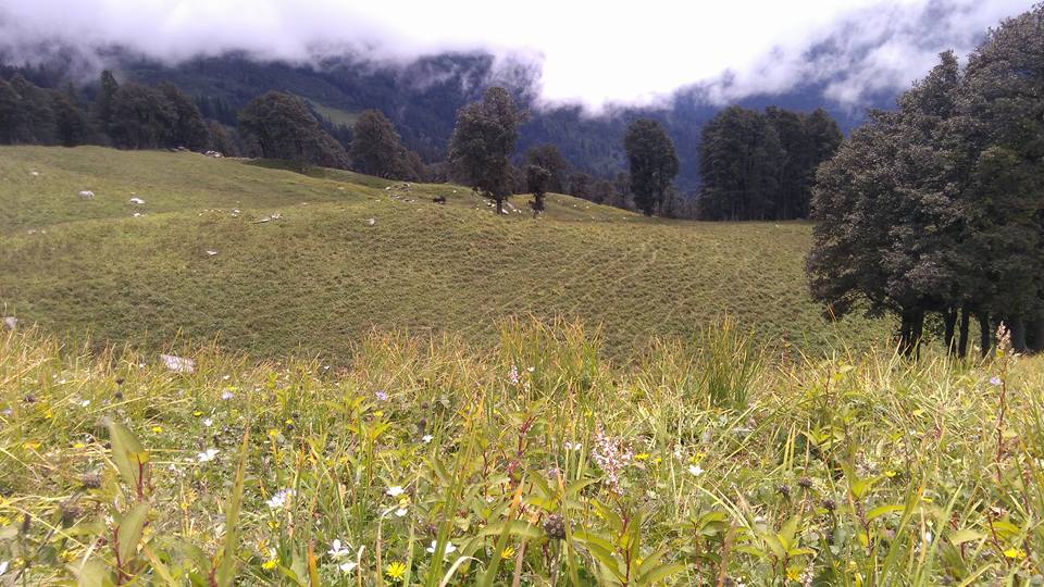 Brighu Lake Trek image 4