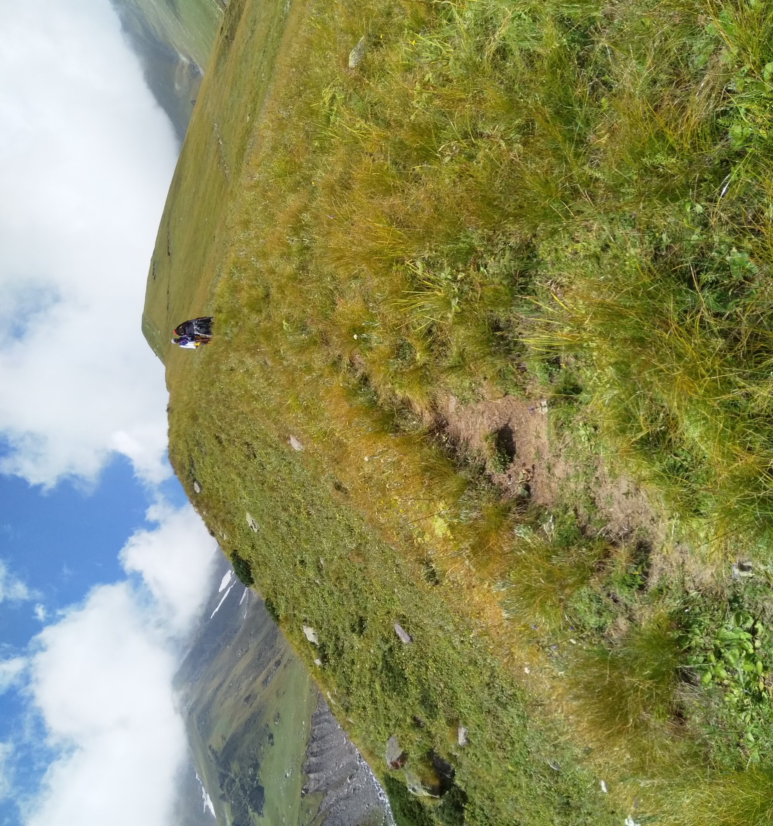 Kalihani Pass Trek image 21