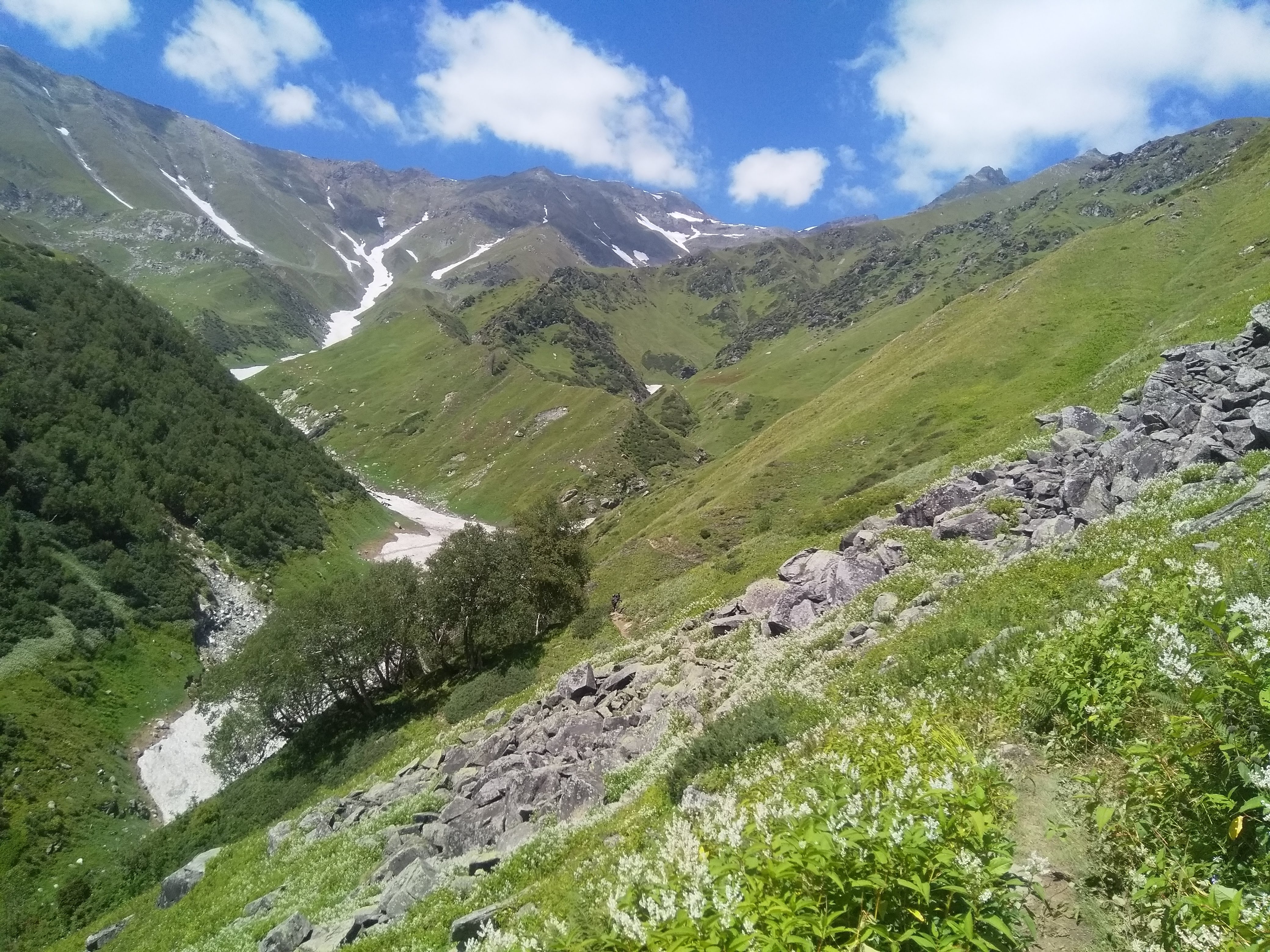 Kalihani Pass Trek image 11