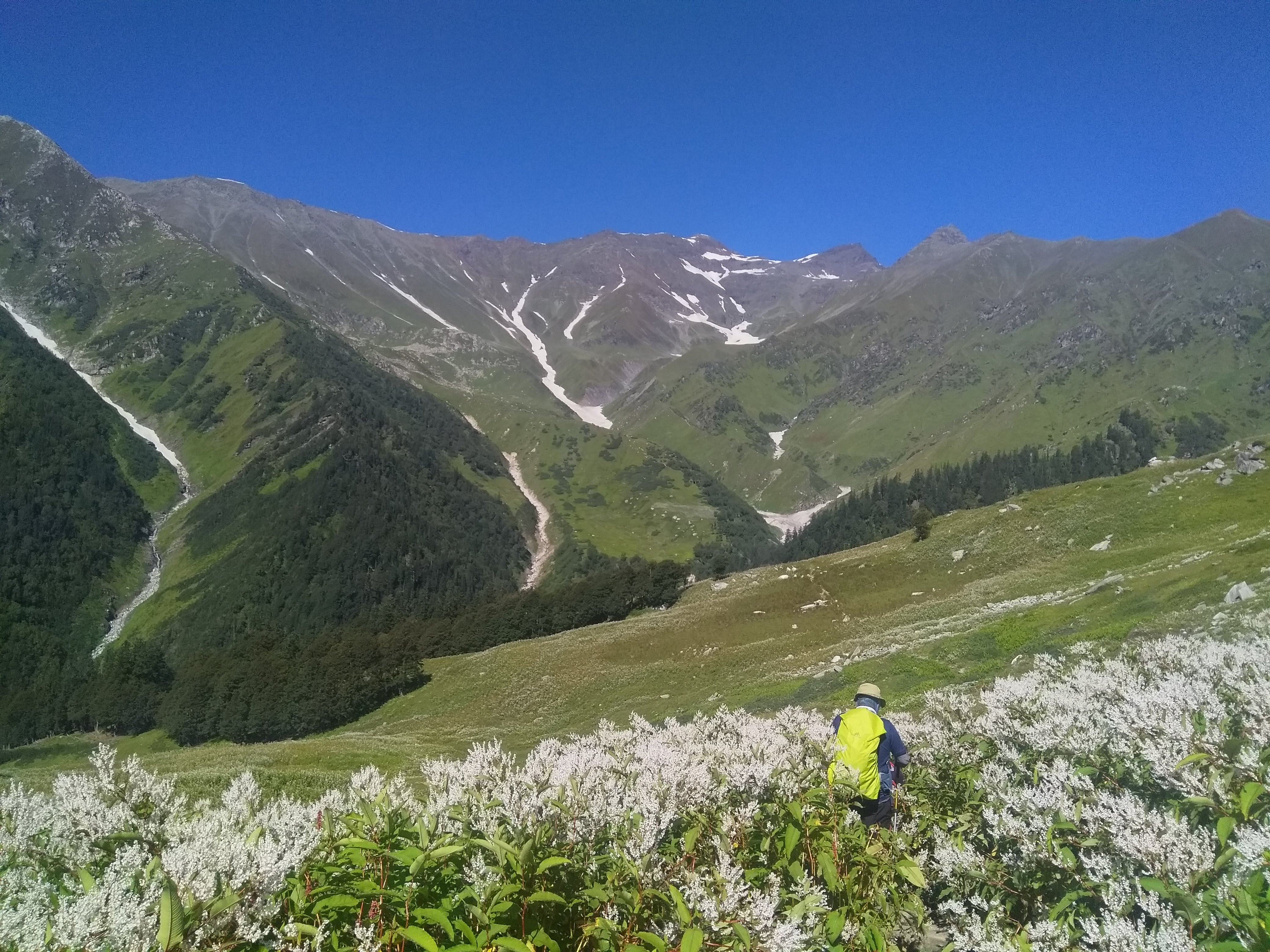 Kalihani Pass Trek image 7