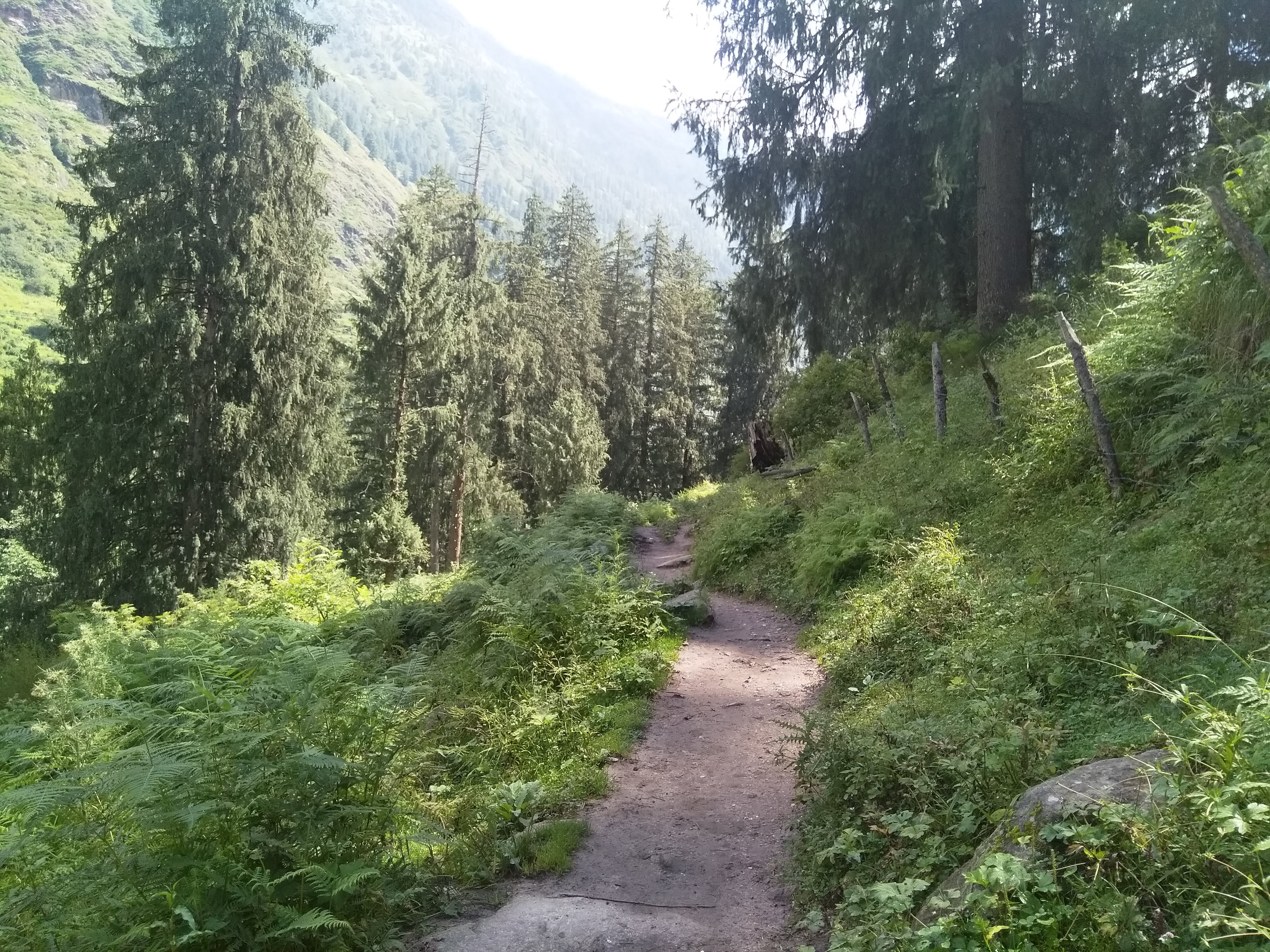 kalga village homestay