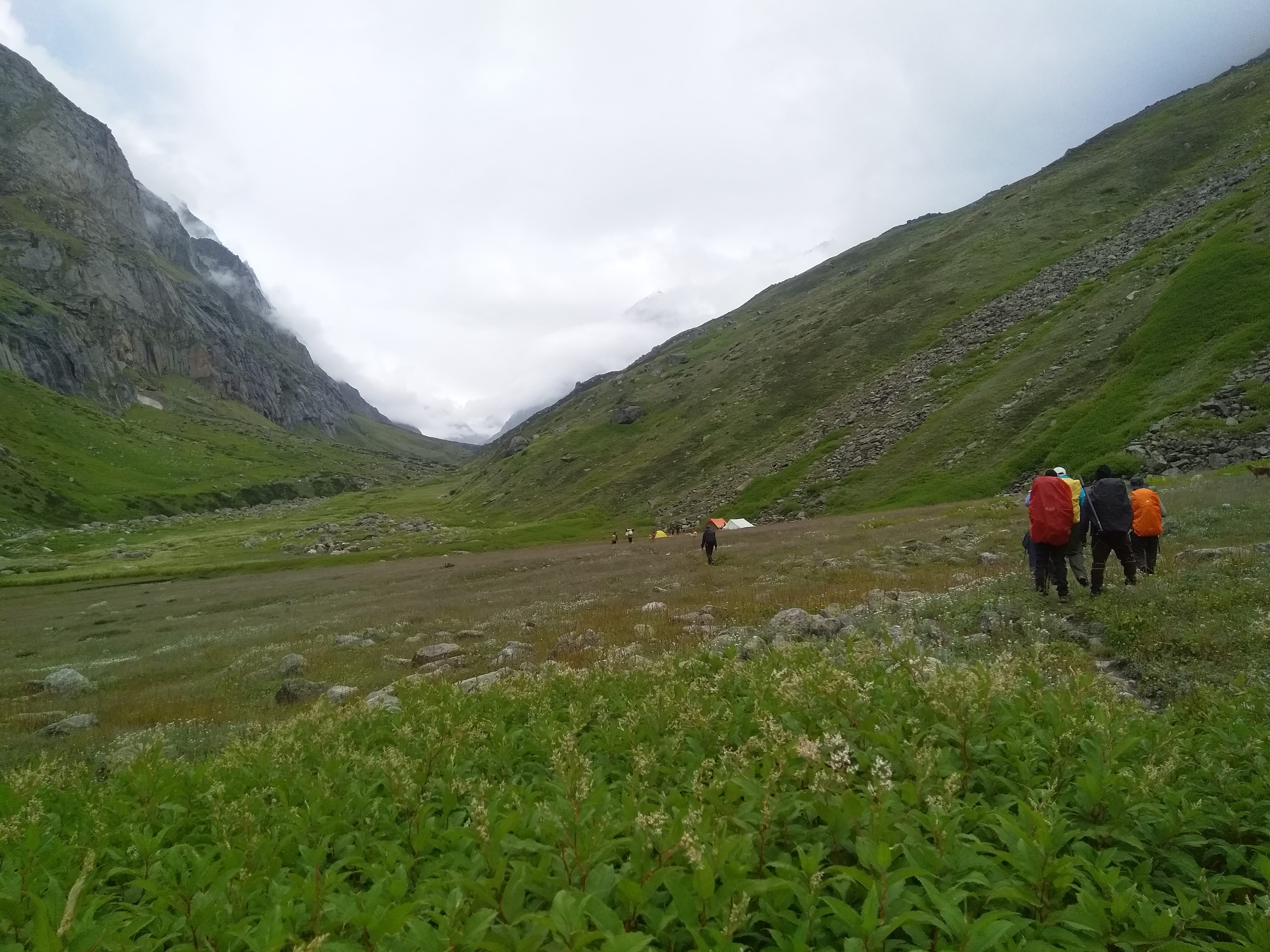 the meadows of Pin Parvati Pass trek