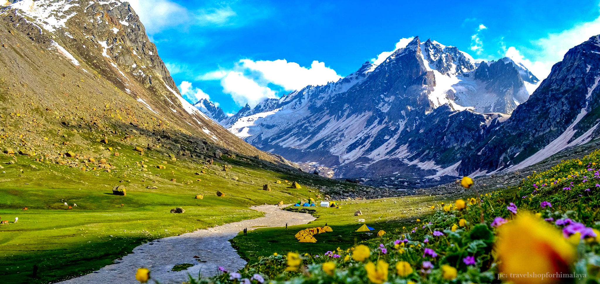Why Hampta Pass is One of the Most Diverse Treks in the Himalayas