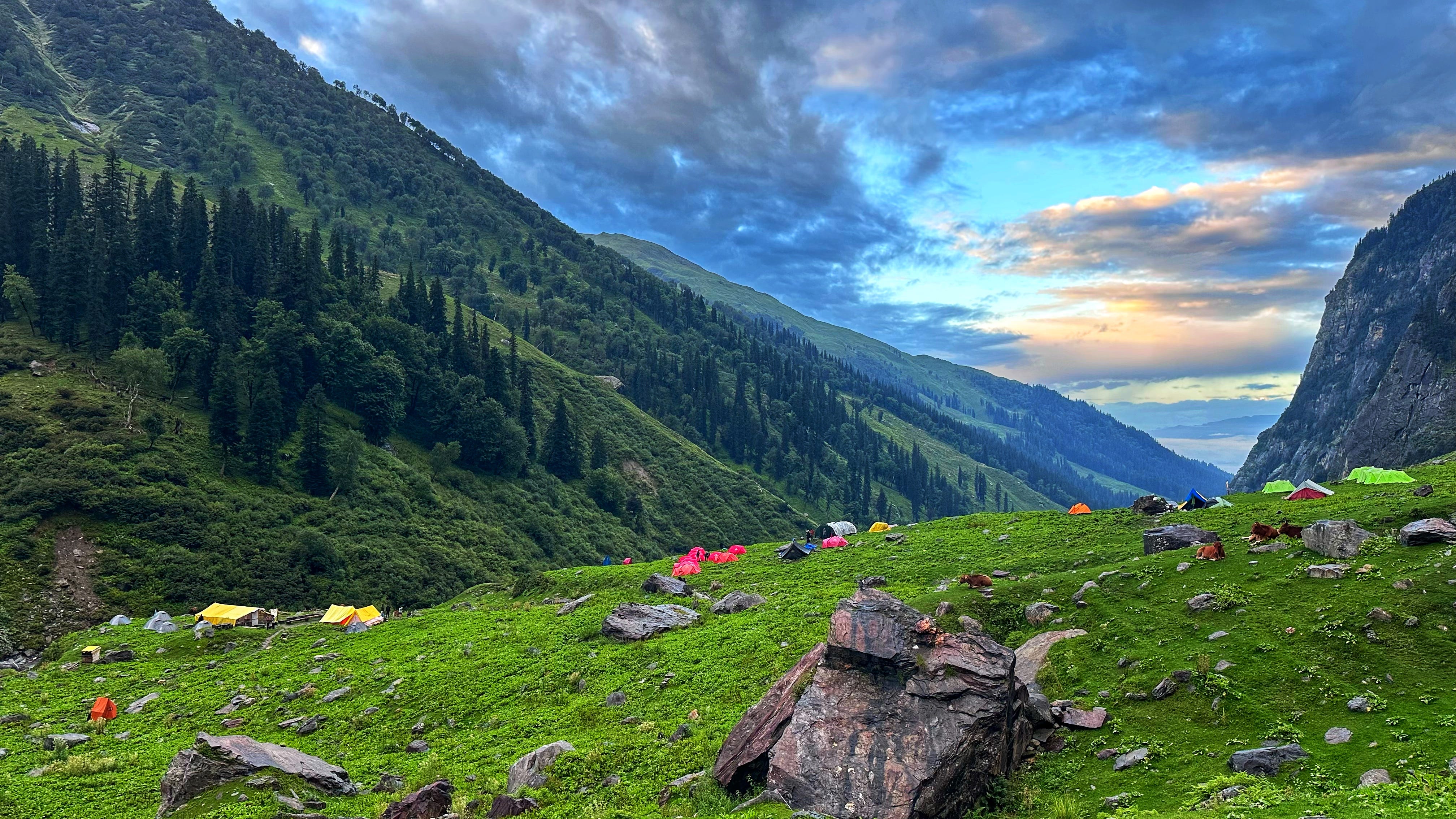 meadows of chika overlooking forest of kullu valley